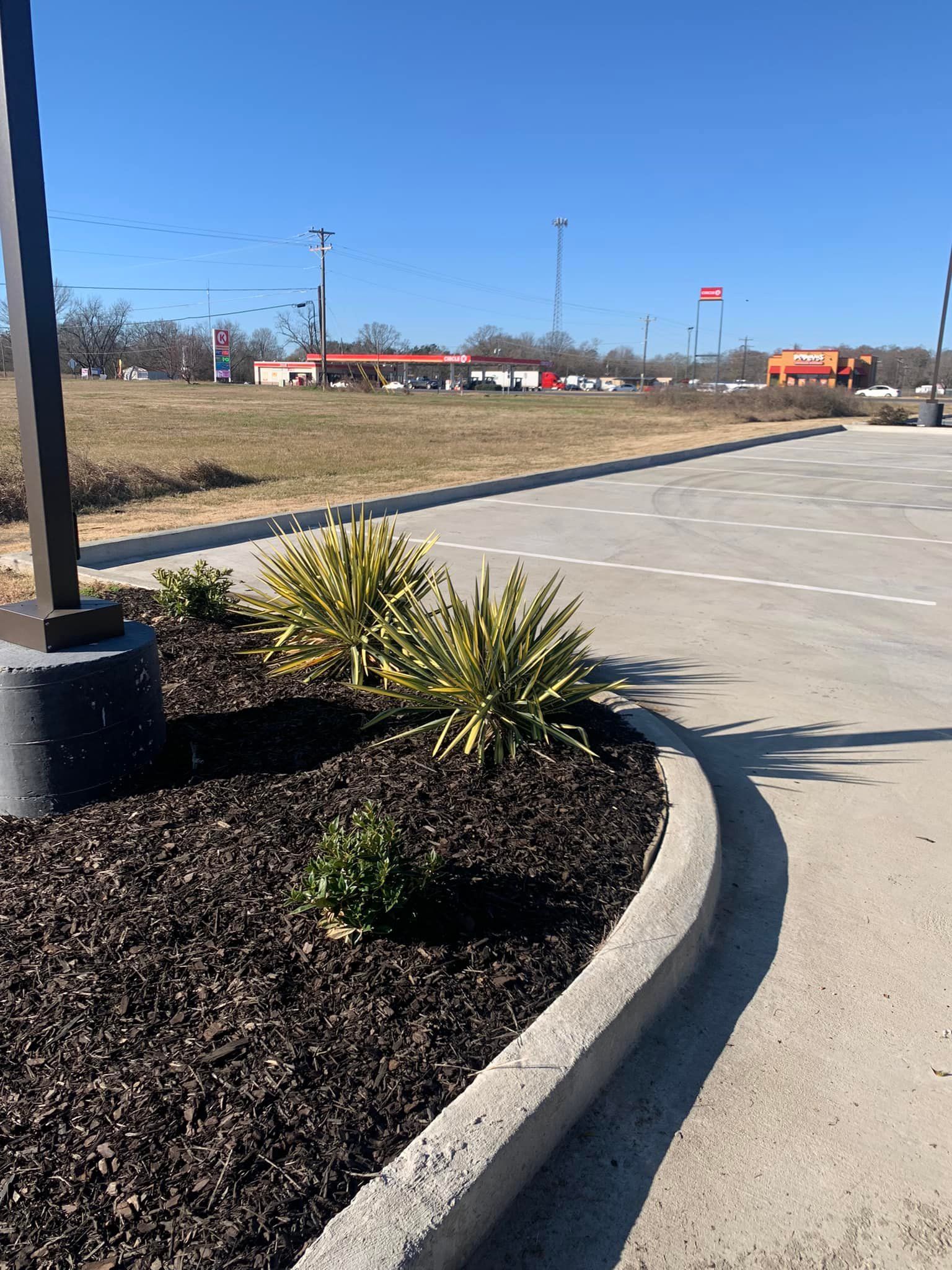 A concrete curb is surrounded by plants and mulch in a parking lot.
