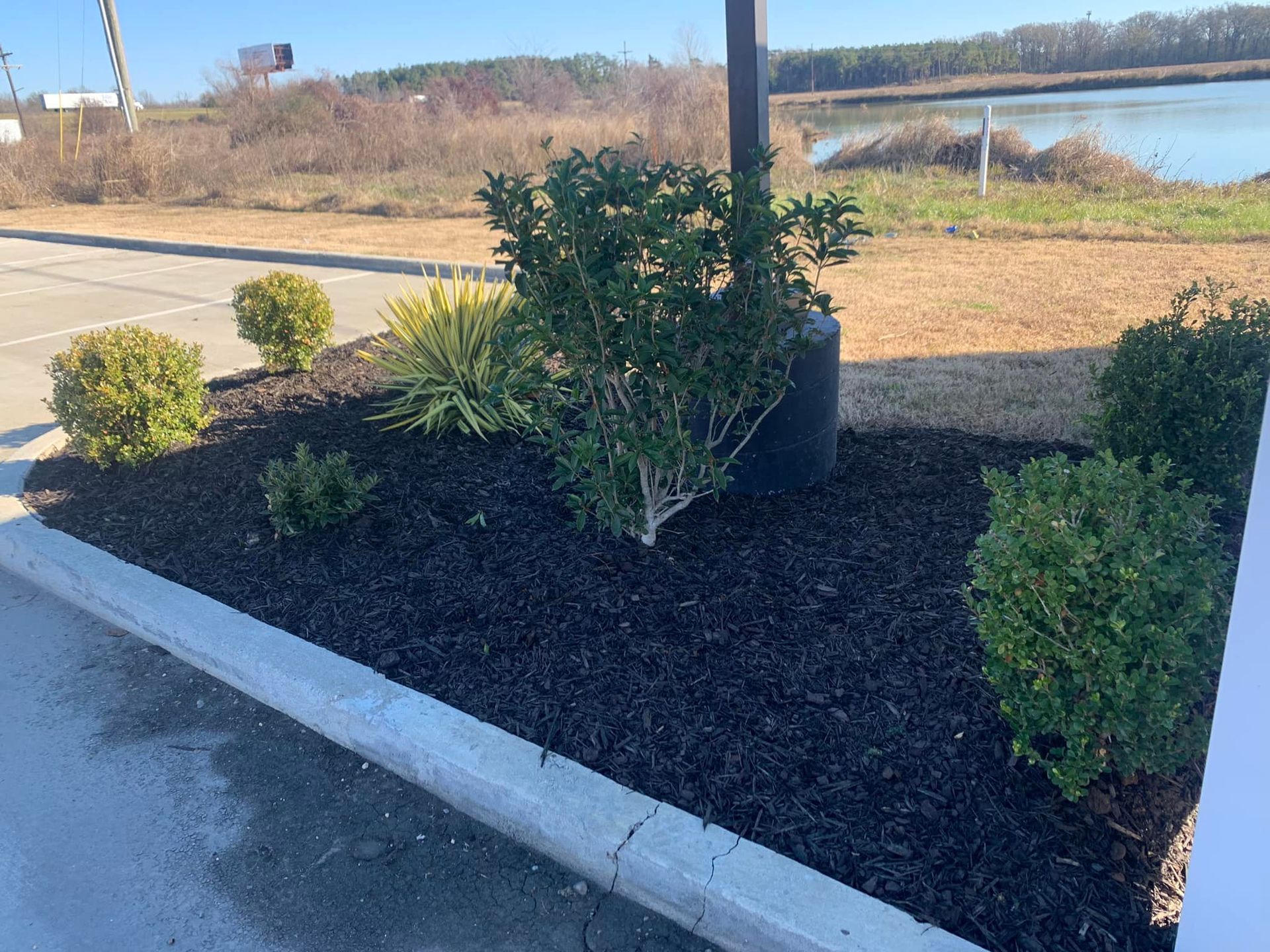 A lush green garden with trees and bushes in a parking lot.