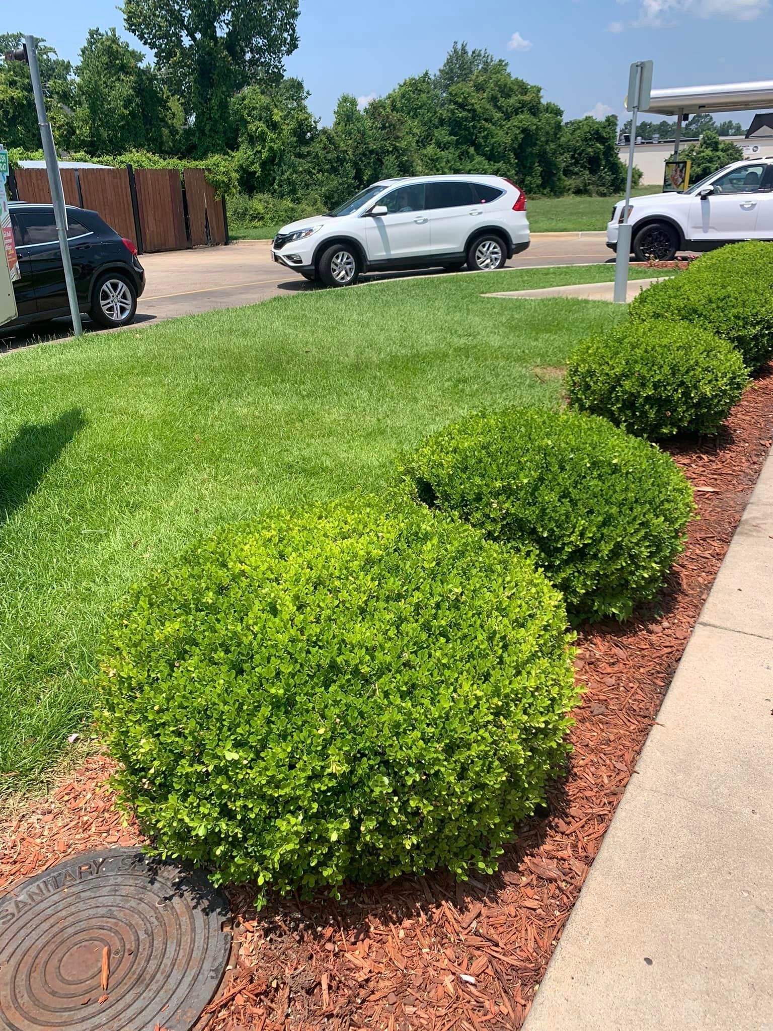 A couple of cars are parked in a grassy area next to a sidewalk.