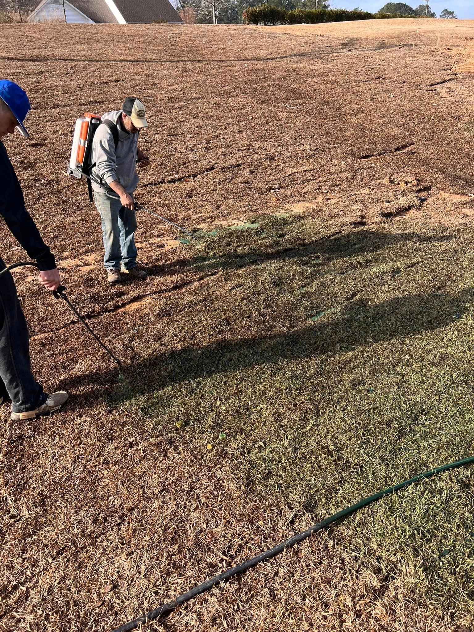 Creativelawns photo from Facebook