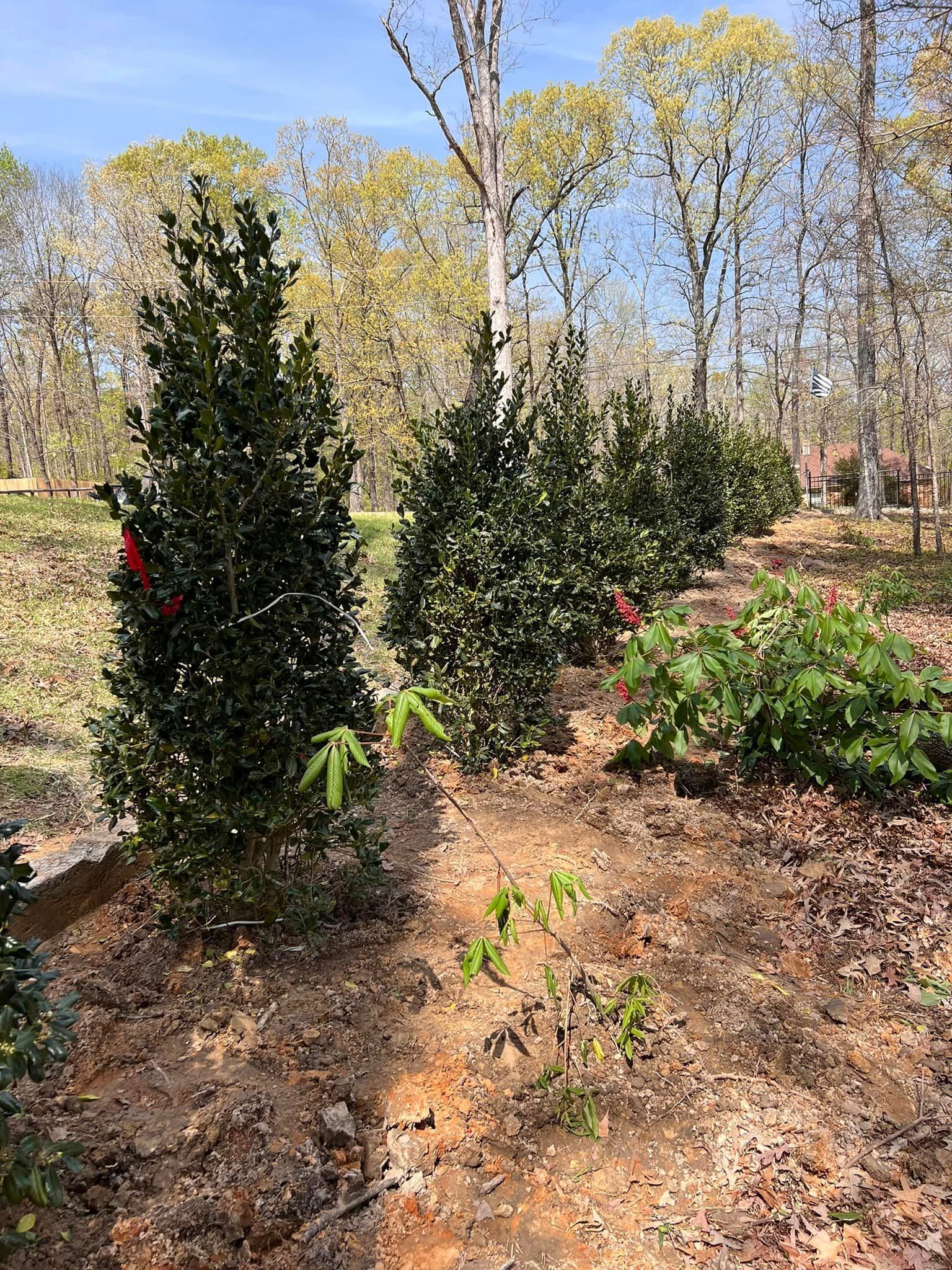 Creativelawns photo from Facebook