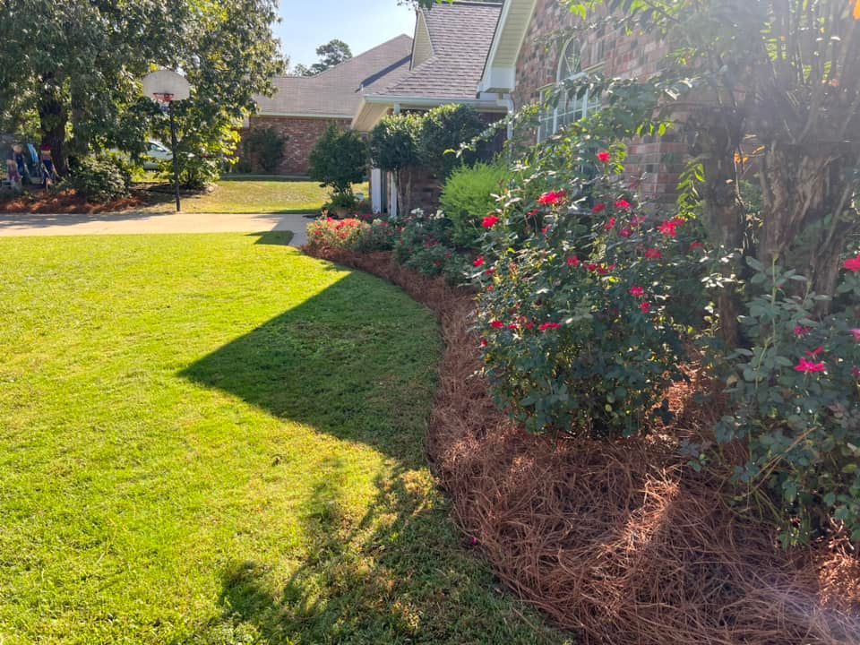 A lush green lawn with flowers and pine needles in front of a house.