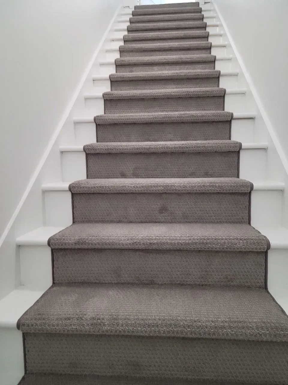 A staircase with carpeted steps and white railing