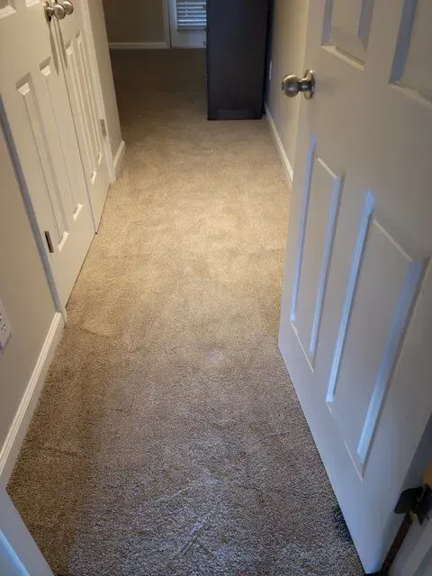 A hallway with carpeted floors and white doors in a house.