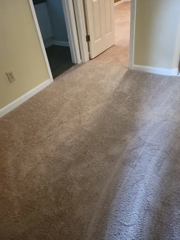 A room with a carpeted floor and a doorway leading to another room.
