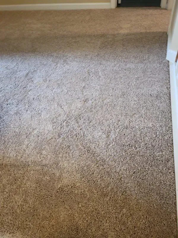 A close up of a carpeted floor in a room.