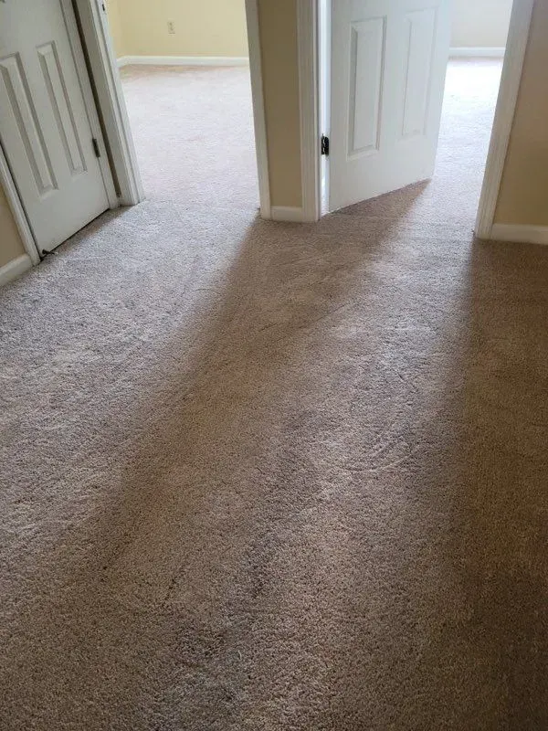 A bedroom with a carpeted floor and two doors.