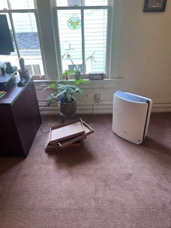 A room with a plant and a air purifier on the floor.