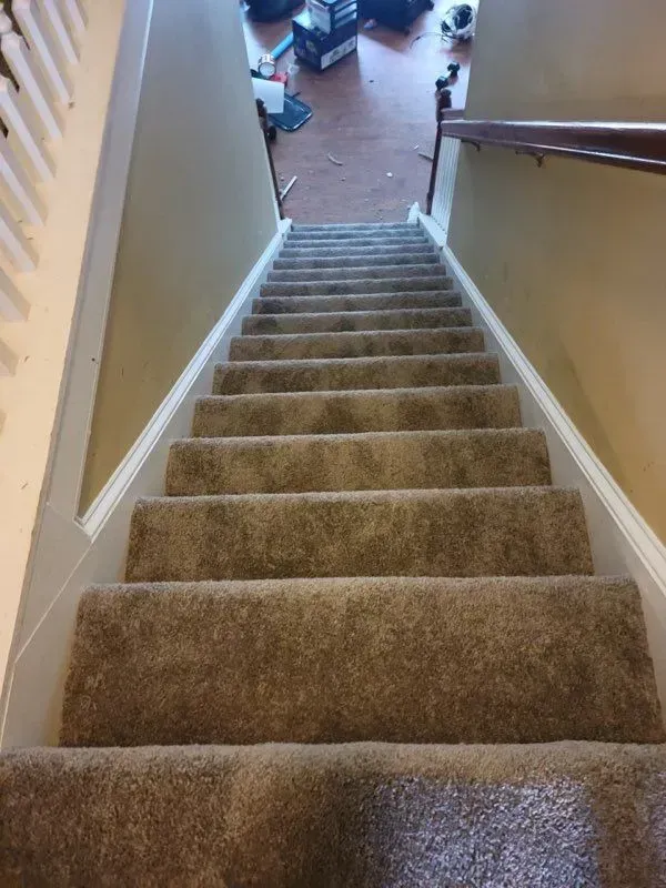 A set of stairs with carpeted steps leading up to a living room.