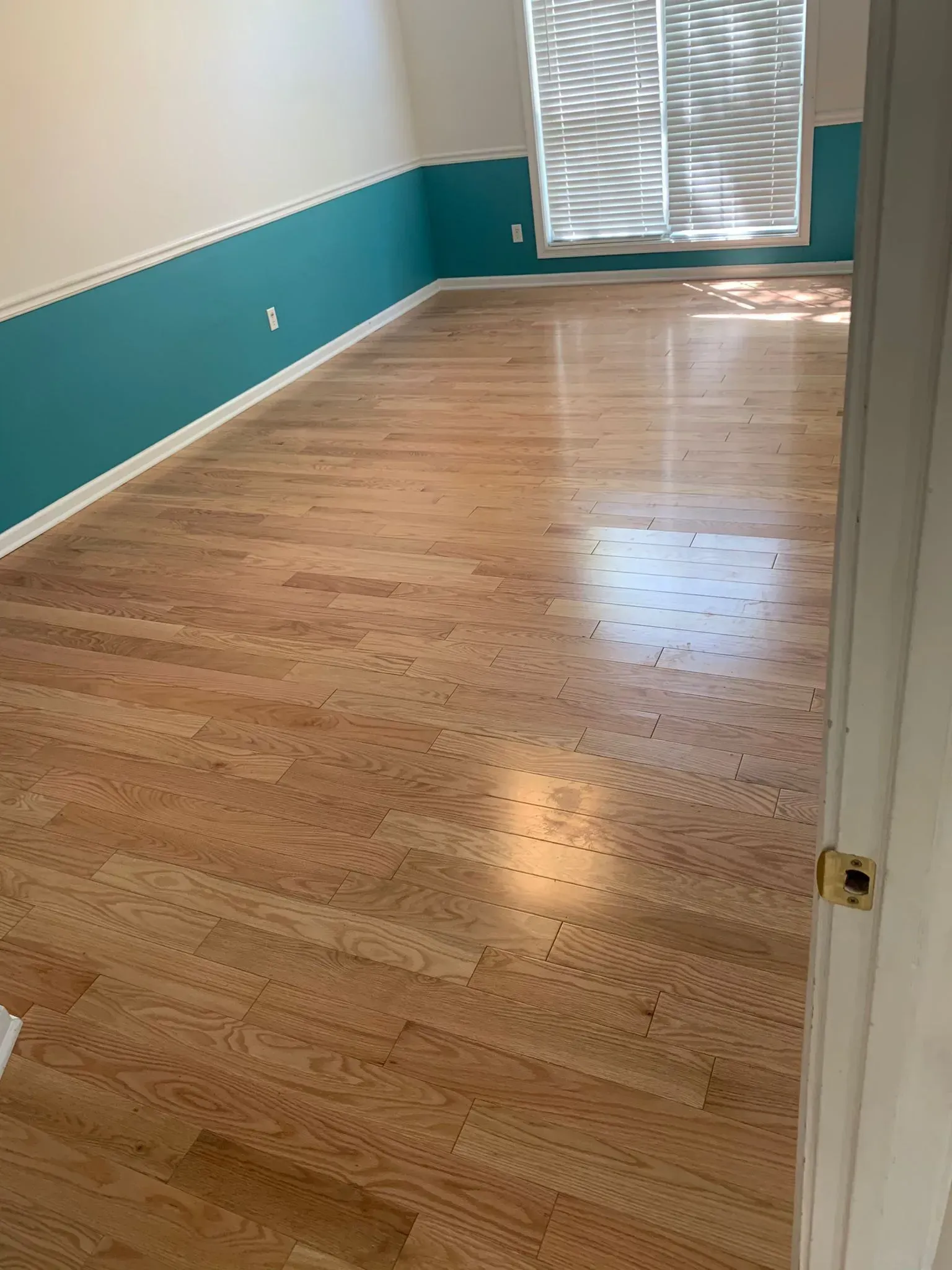 A living room with hardwood floors and blue walls.