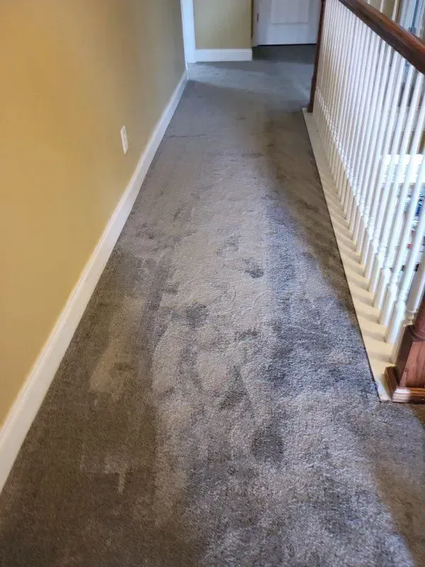 A hallway with a carpeted floor and stairs in a house.