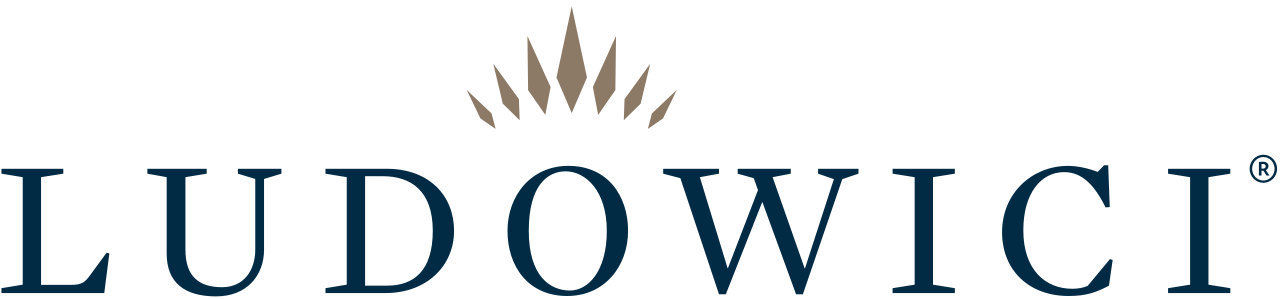 A logo for ludowicki with a crown on it