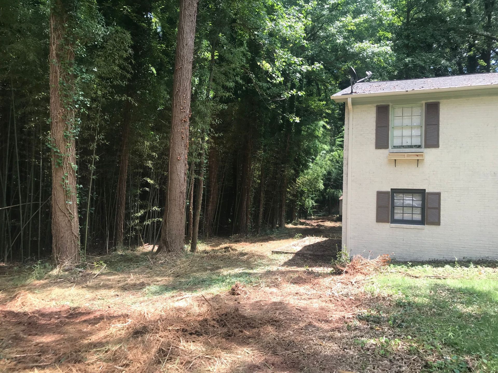 A tan house next to a bamboo forest and a cleared dirt path.