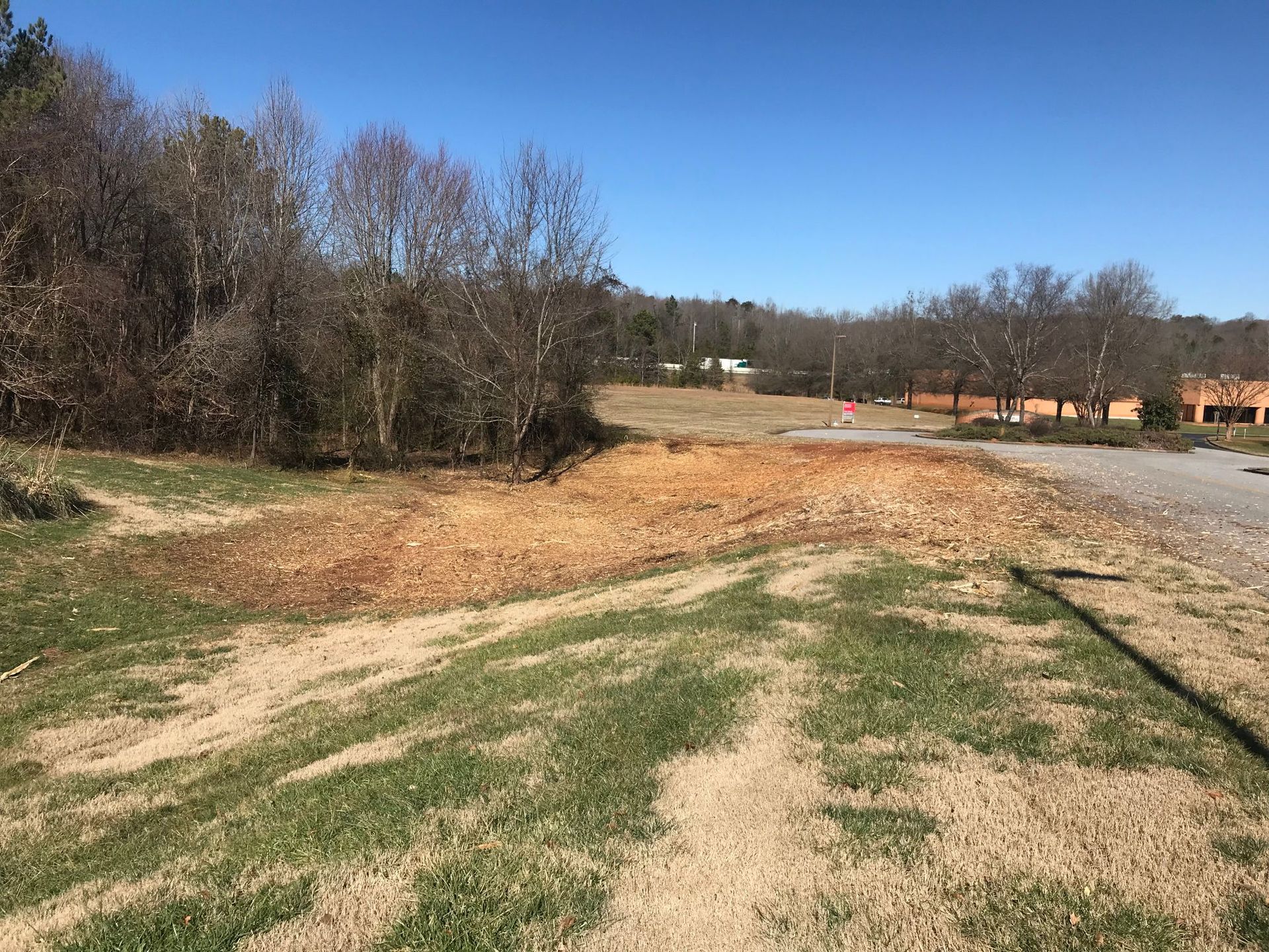 Grassy field leading to an area of dead foliage and dirt, with trees in the background under a blue sky.