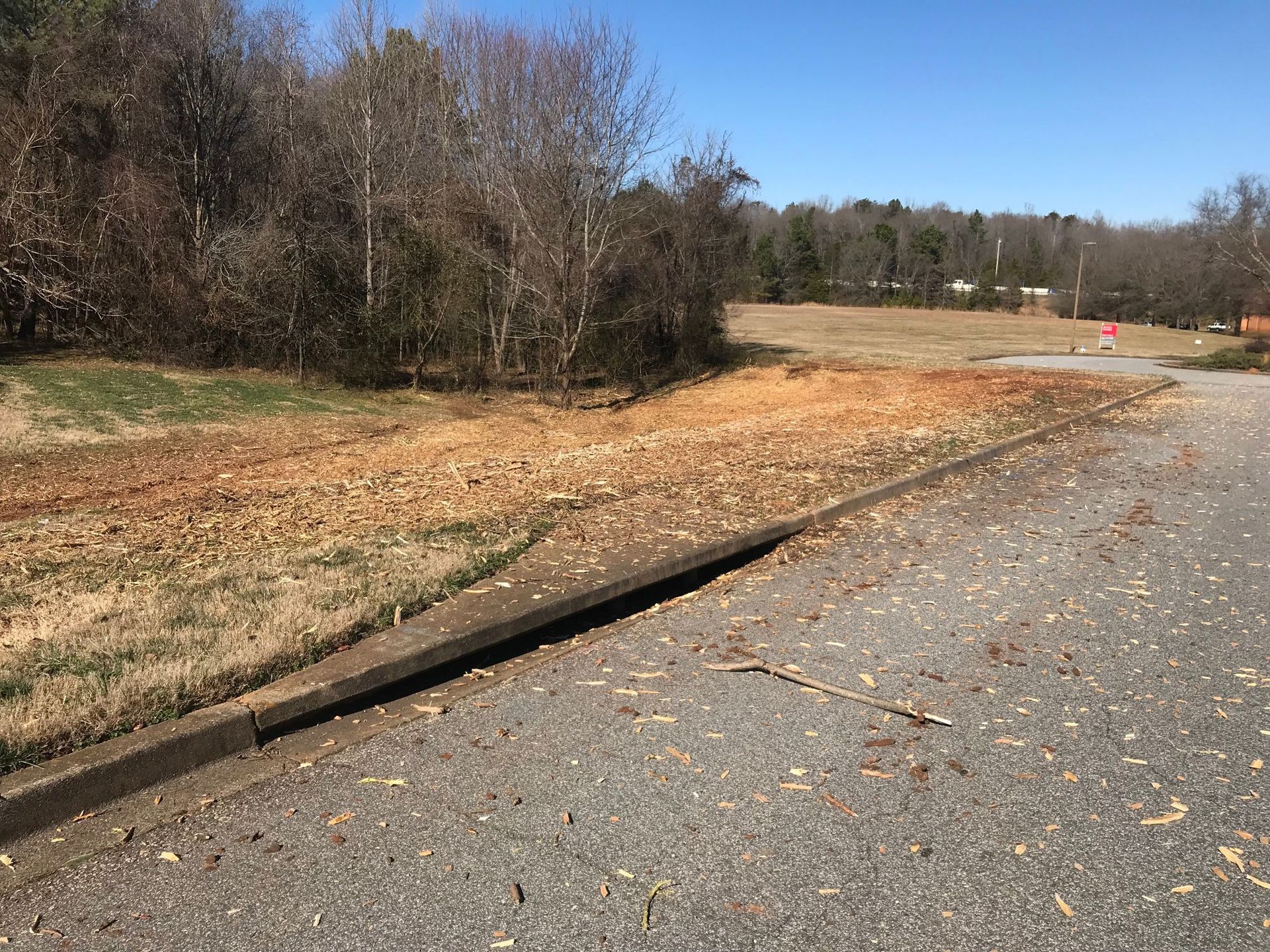 A gravel road with curb, dead leaves and grass. Bare trees and a field in the background.