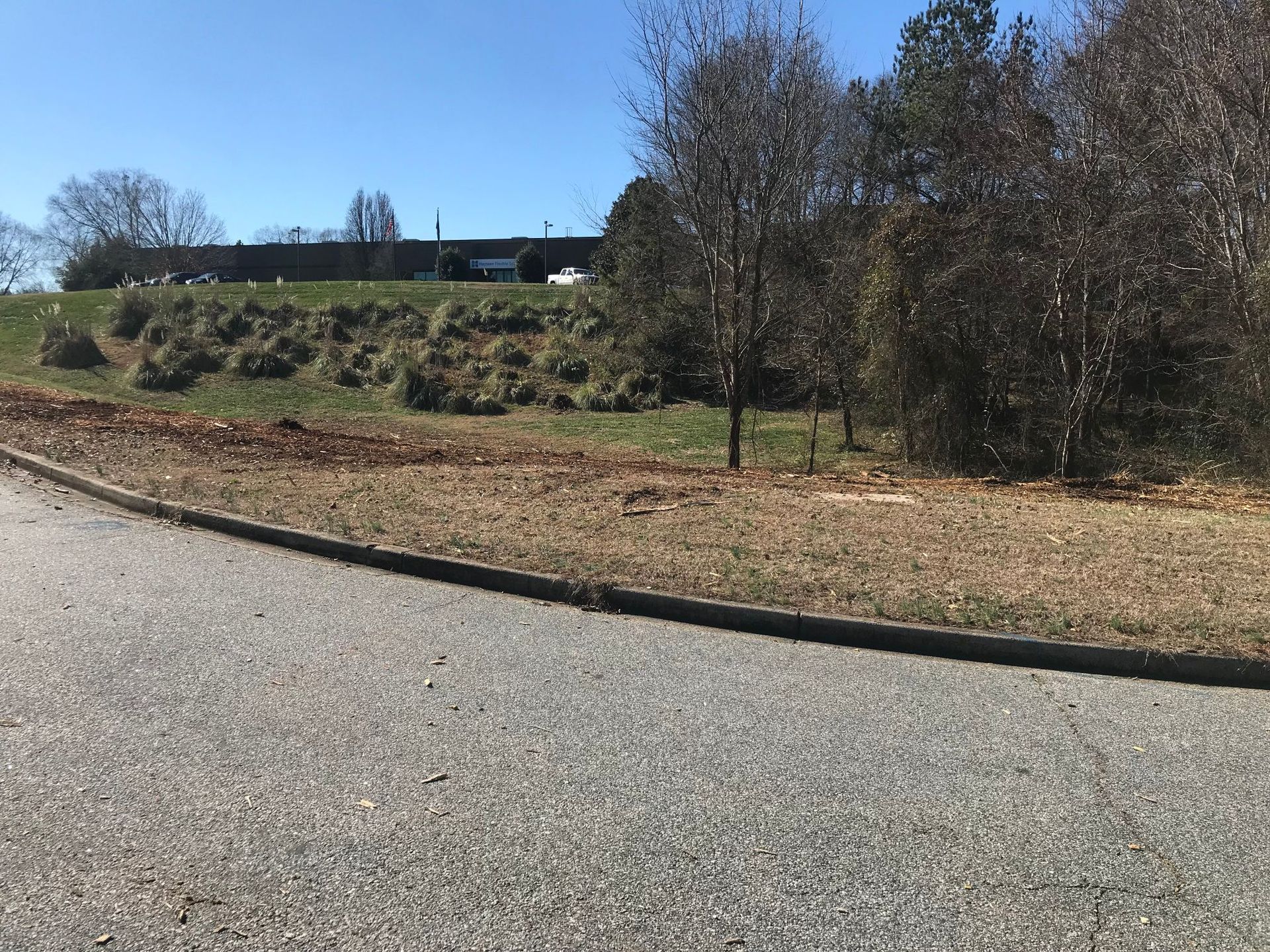 Grassy hill with sparse trees behind a paved road on a sunny day.