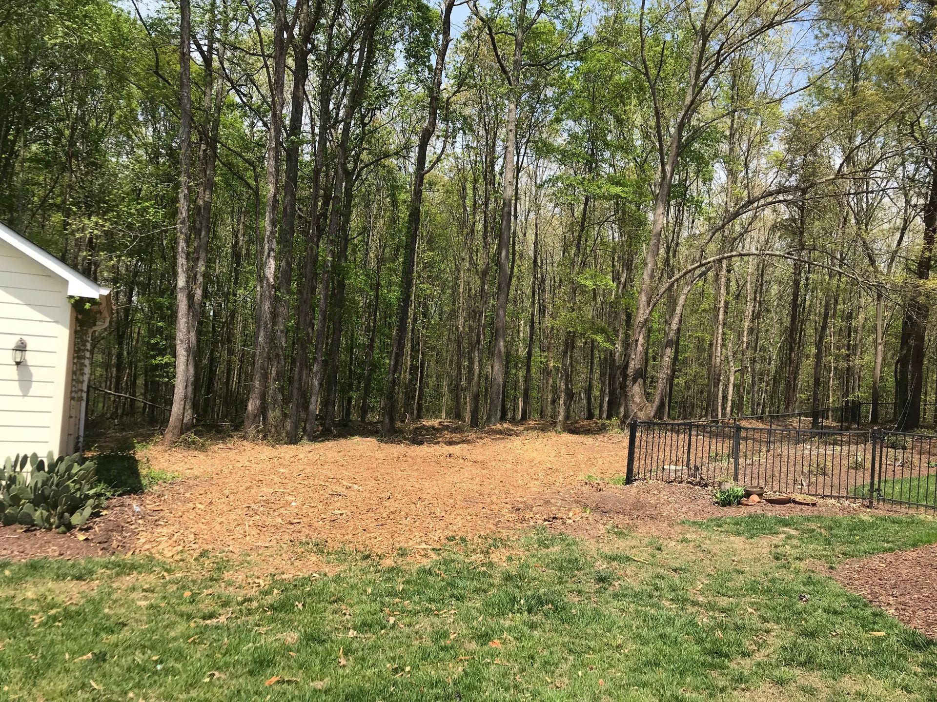 Backyard with cleared area, trees, and a low fence. Brown leaves on the ground. Sunny day.
