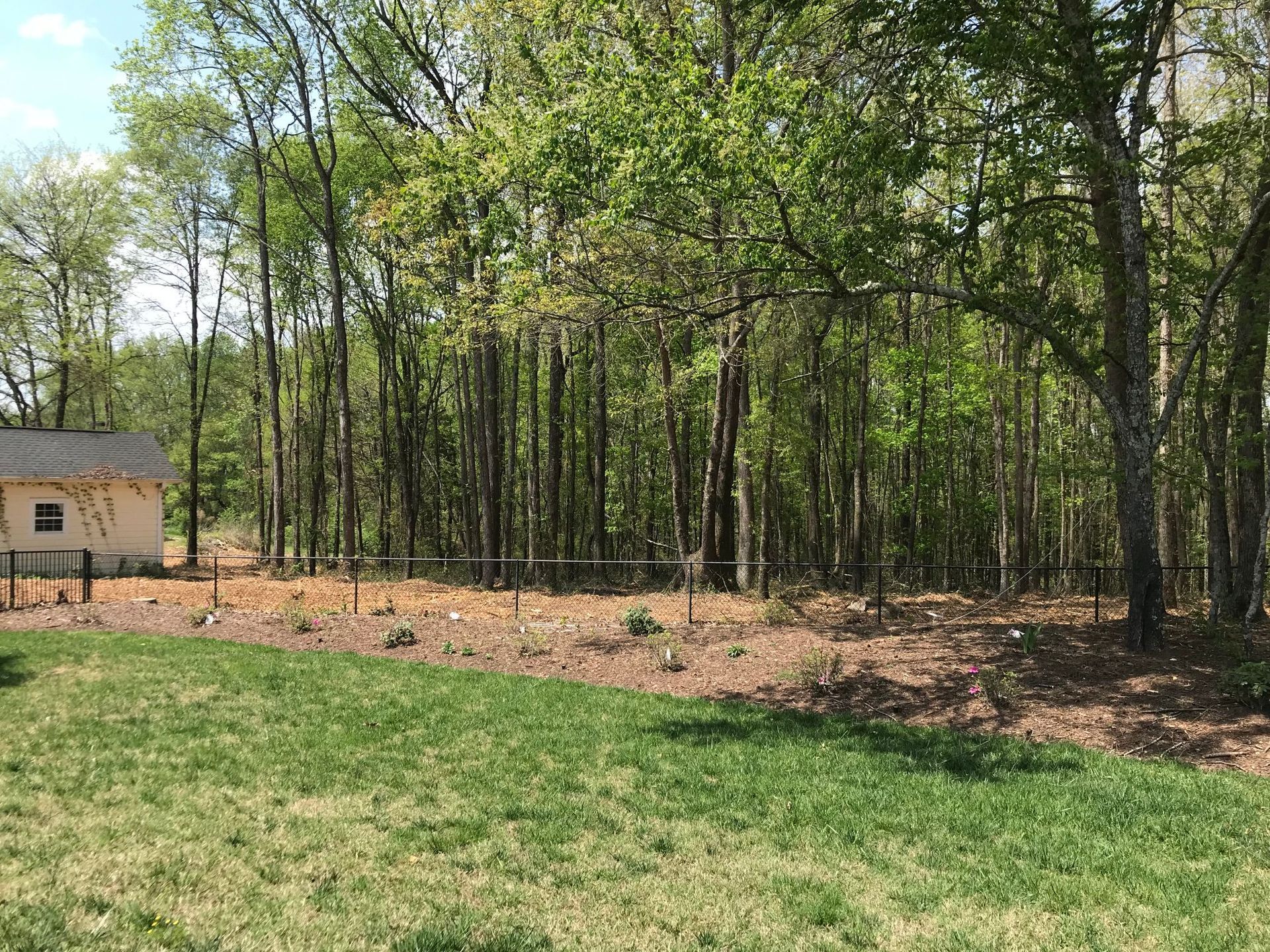Green backyard with chain-link fence, brown mulch bed, and tall trees in the background.