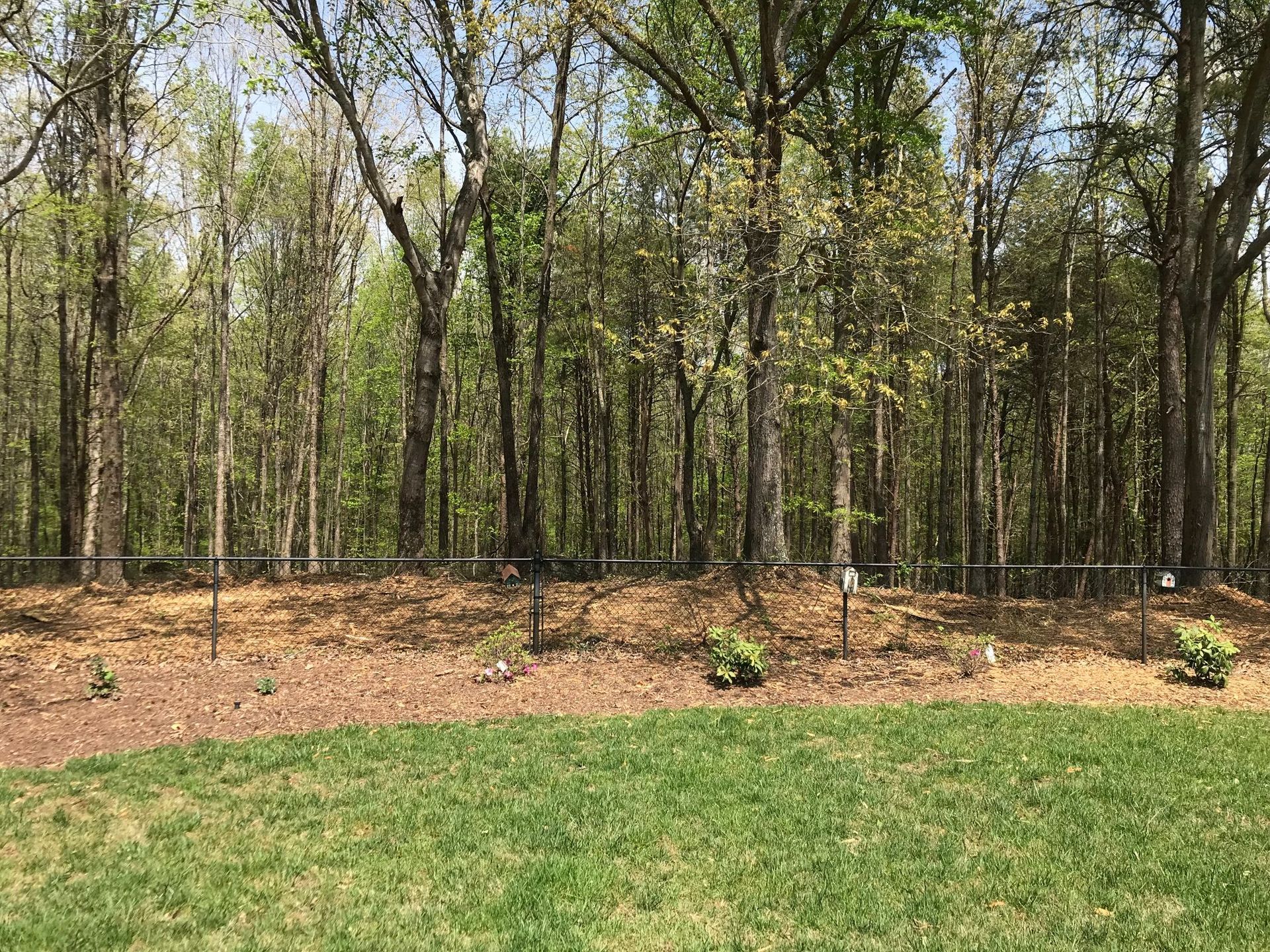 Lush green grass leads to a wooded area, separated by a chain-link fence. Trees are tall with new green leaves.