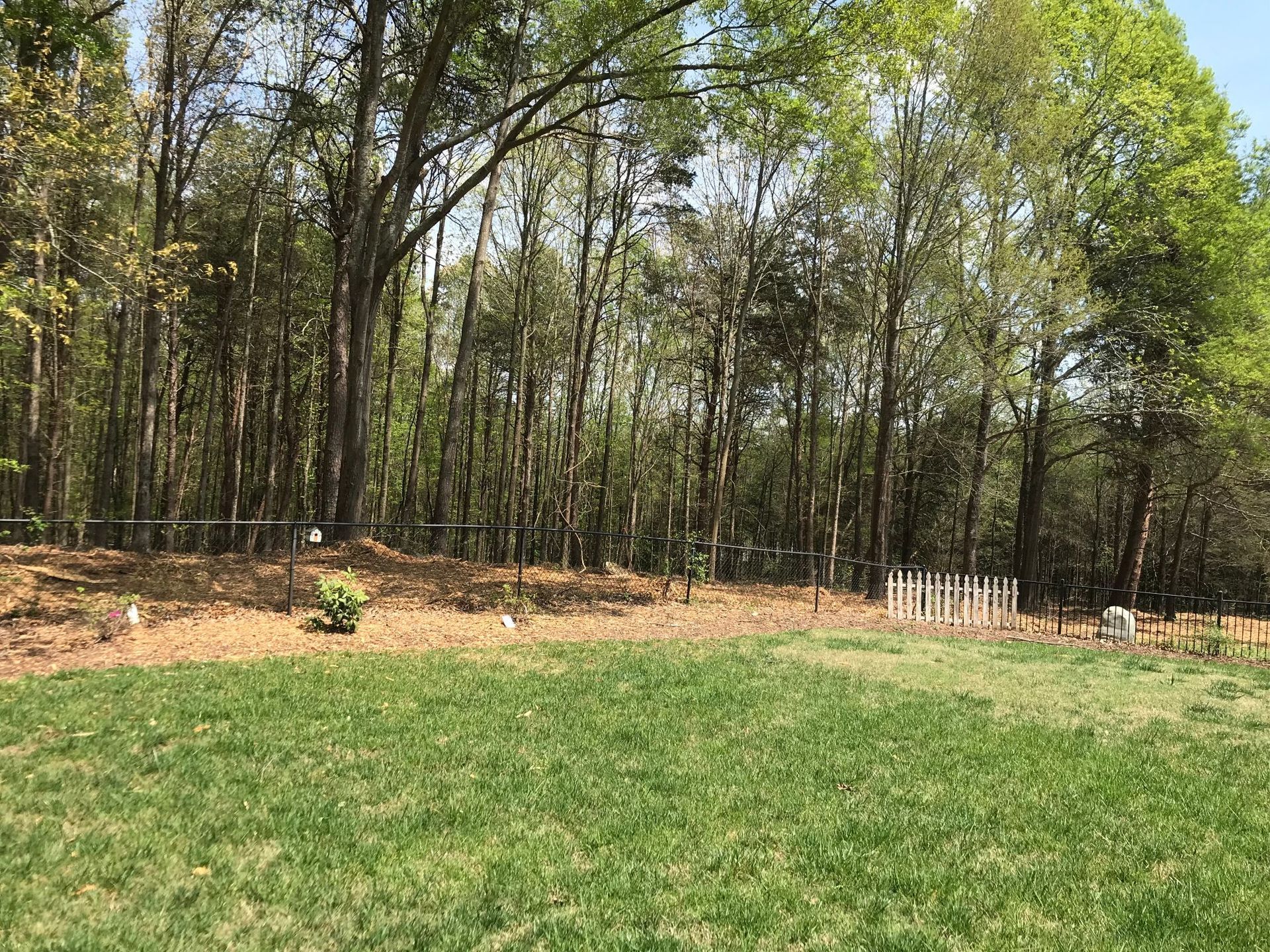 A grassy backyard leads to a treeline with a fence and small structures, under a bright sky.