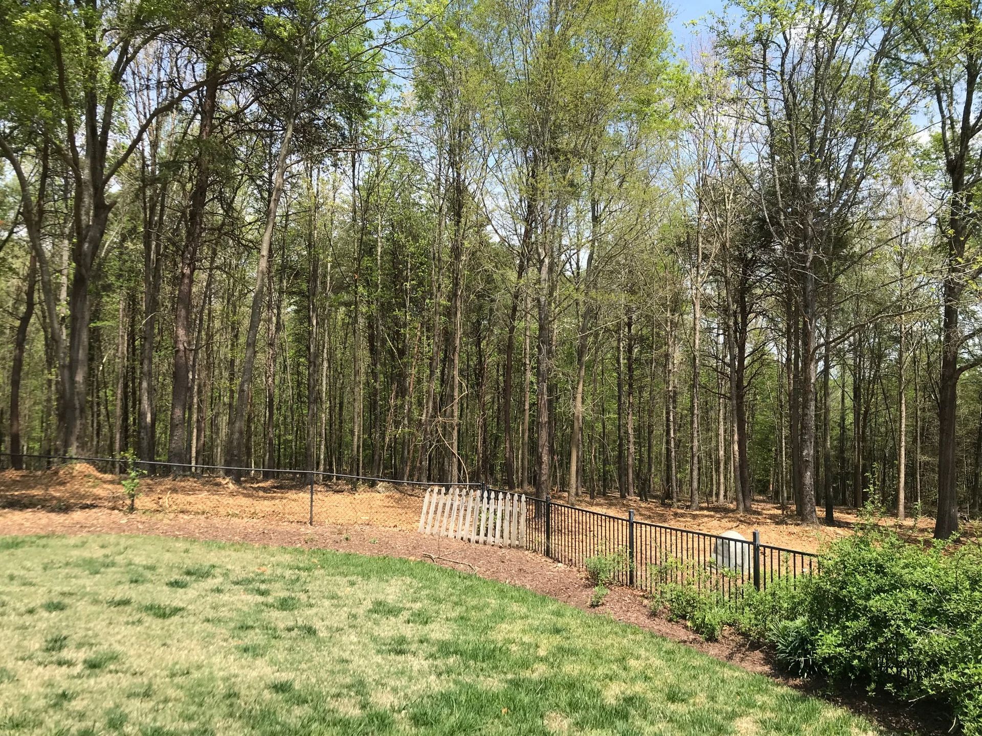 Green yard with a white picket fence leading to a line of trees in a wooded area.