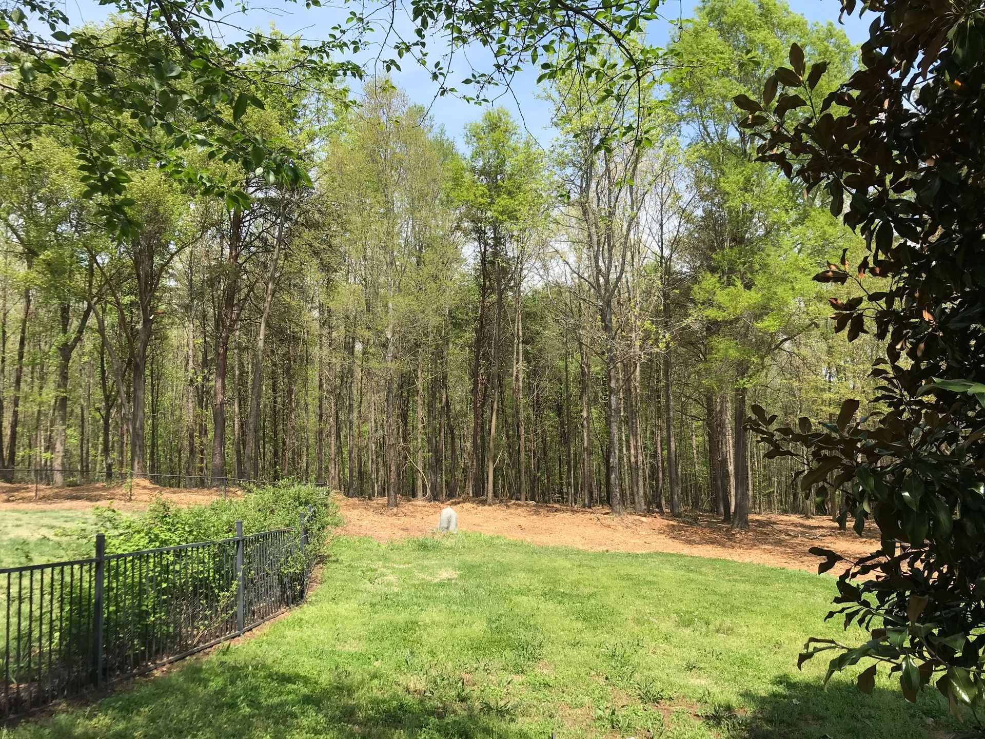Grassy backyard with black fence bordering a wooded area under a bright, sunny sky.