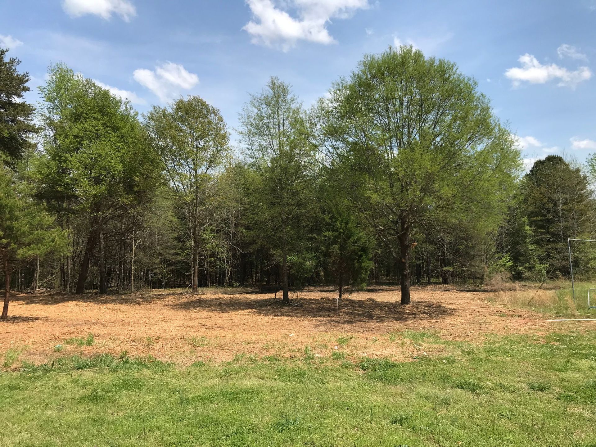 Trees stand on brown earth next to green grass under a partly cloudy sky.