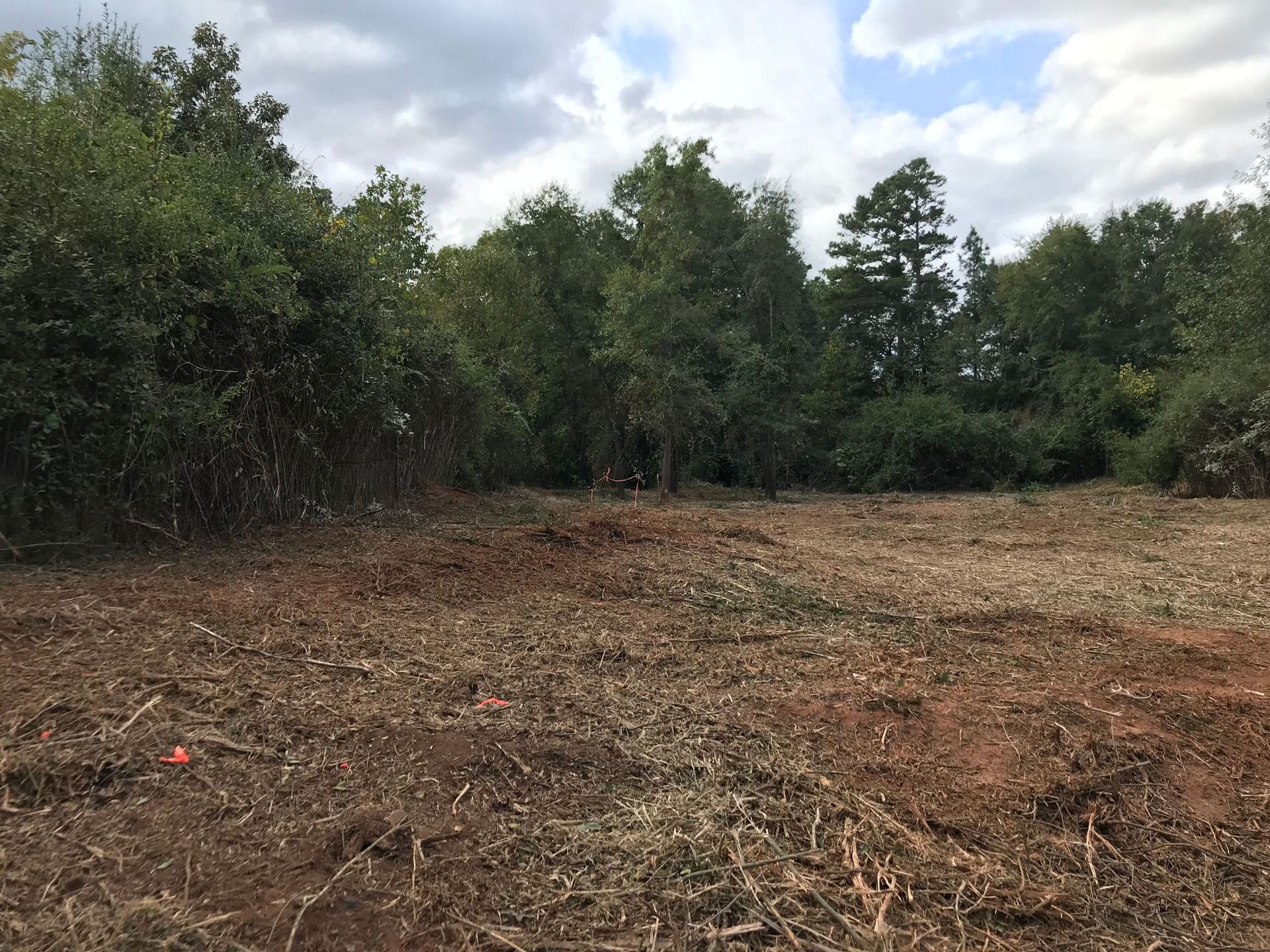 Cleared area of land with bare earth and mulch in front of a tree line under a cloudy sky.