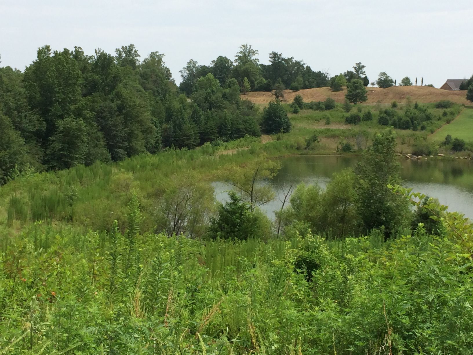 Lush green landscape with a pond, trees, and grassy areas under a cloudy sky.