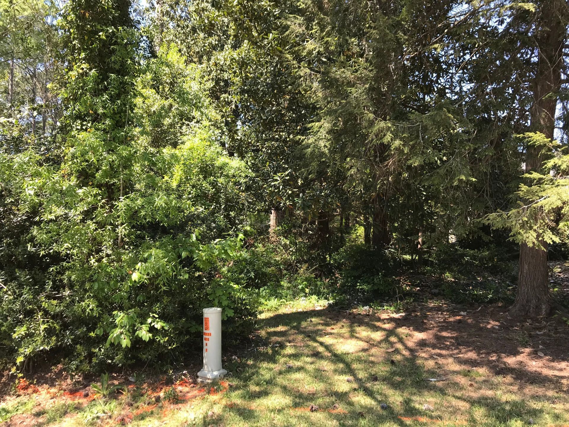 Grassy area with lush green trees and a white utility pipe.