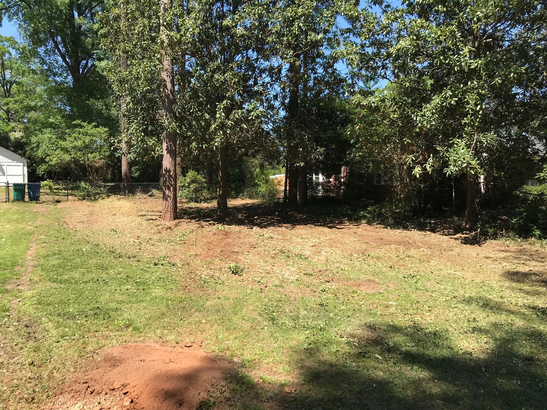 Grassy yard with trees in the background, some brush and debris in the center. Bright sunny day.