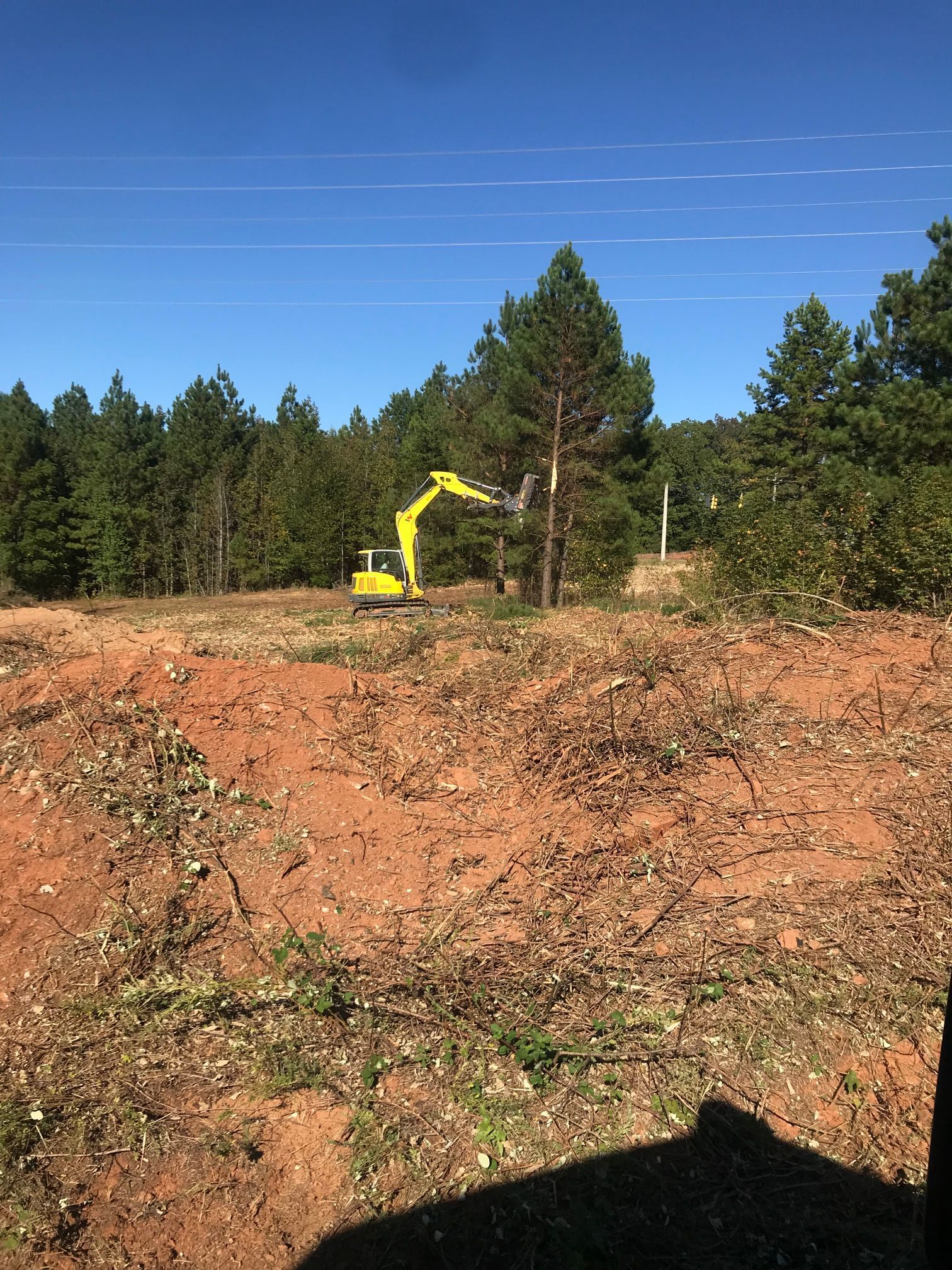 A yellow excavator clearing trees in a forest clearing; red dirt, blue sky.