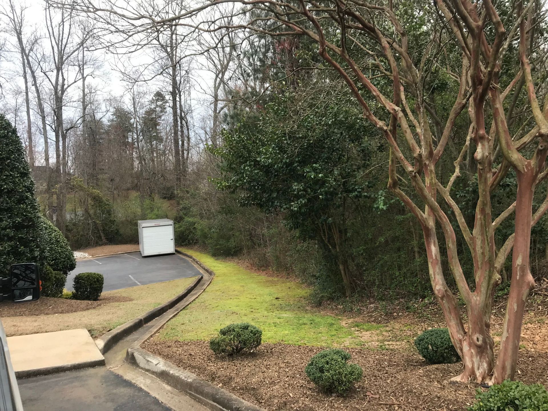Curb and grassy strip leading to trees, shrubs, and a metal container. Bare tree on right. Cloudy sky.