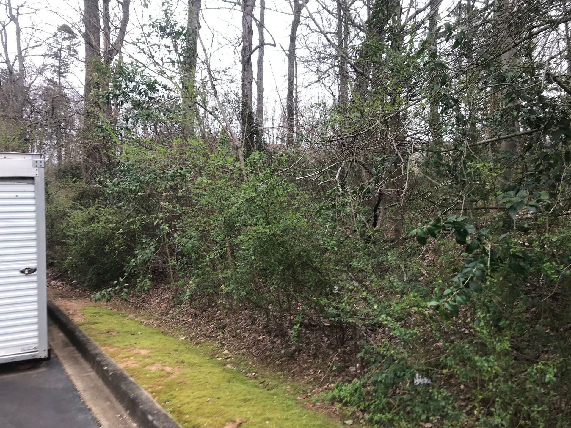 Green bushes and trees grow near a gray storage unit, beside a curb and grassy area.