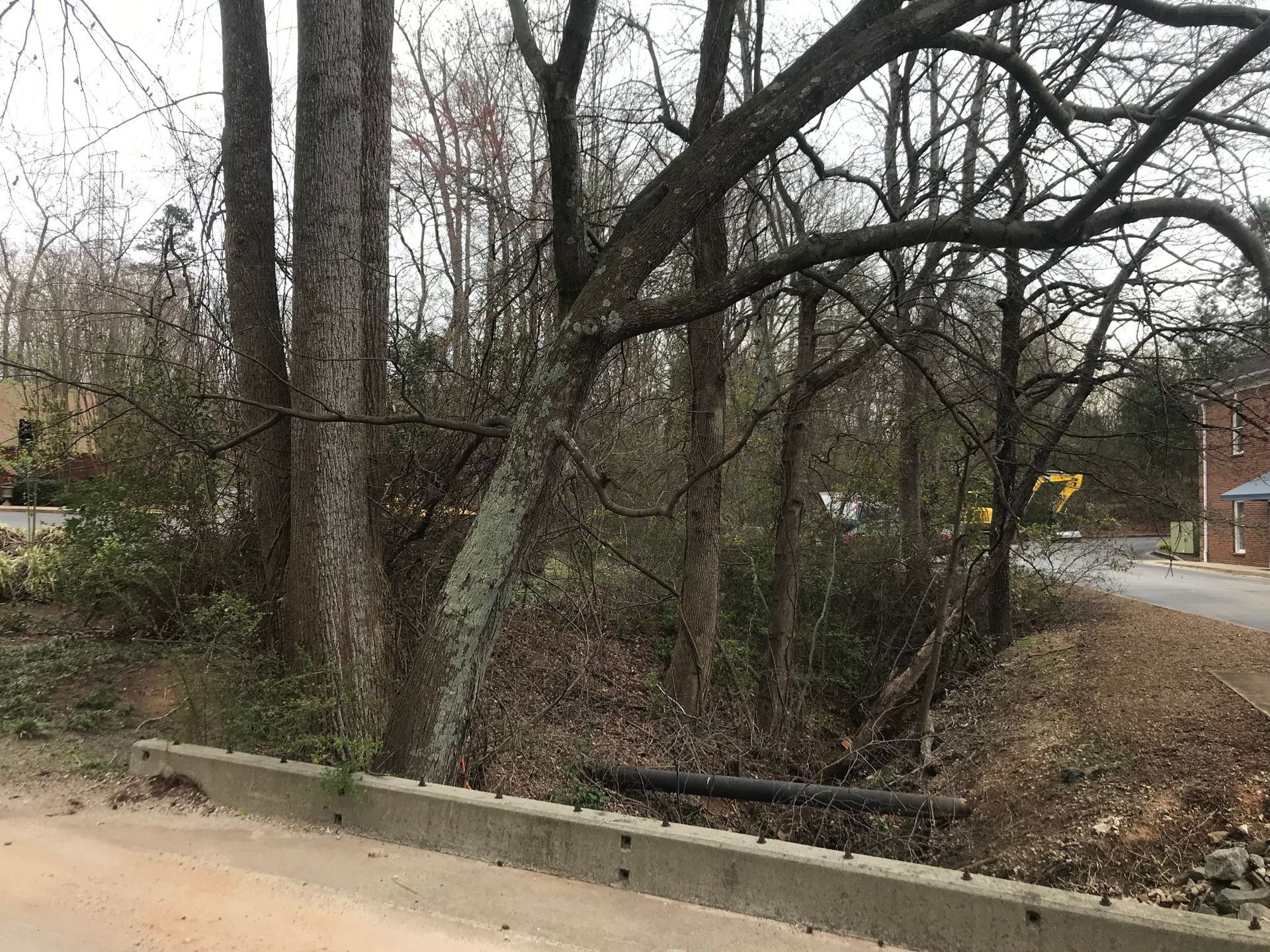 A road with a concrete barrier. Trees, a ditch, and foliage line the edge.