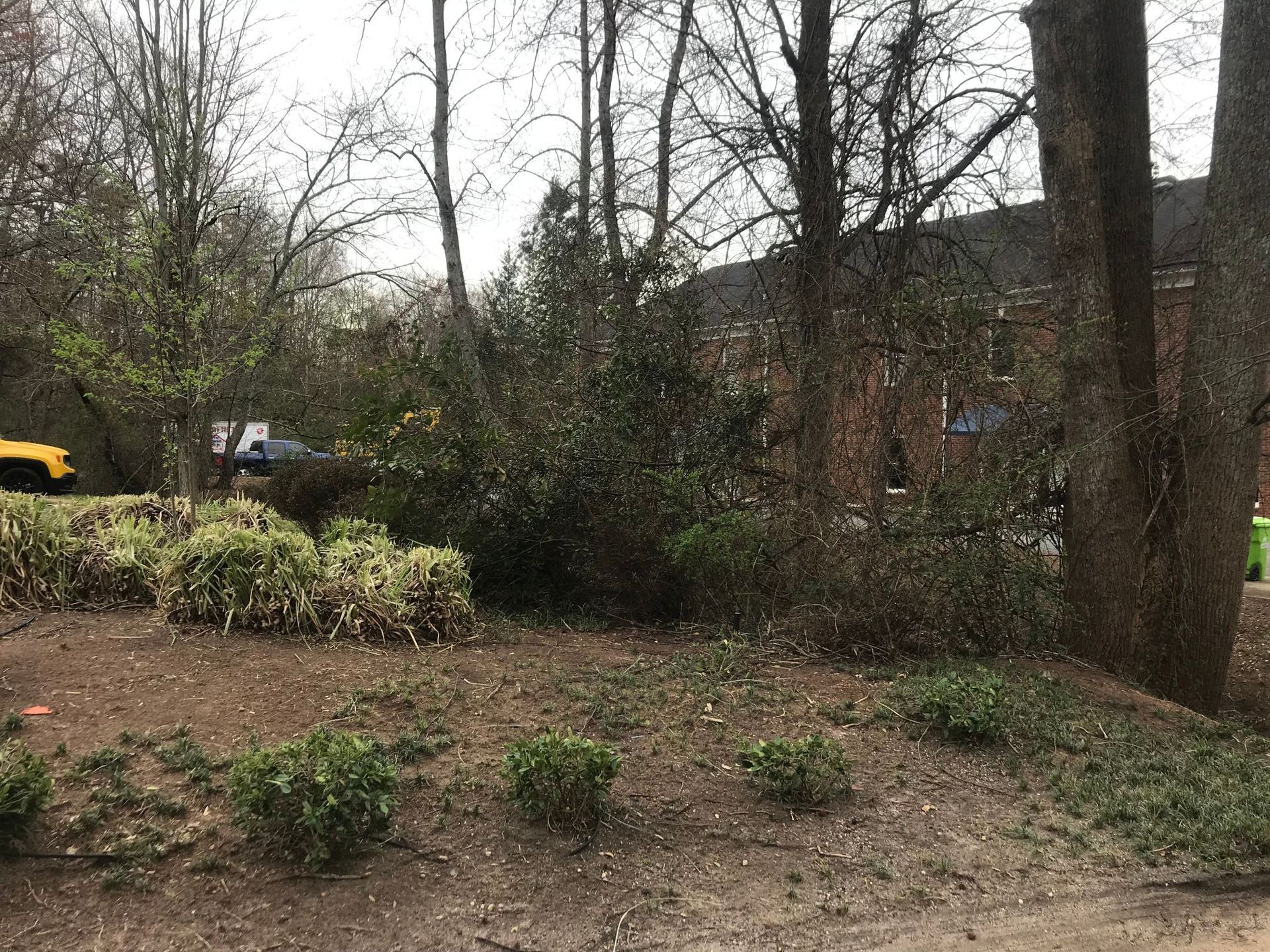 Grassy slope with green bushes and bare trees in front of a building. A yellow vehicle is visible on the left.