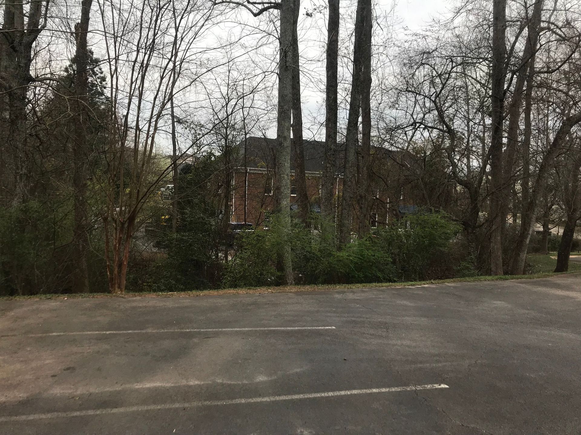 Parking lot with a house obscured by trees in the background.