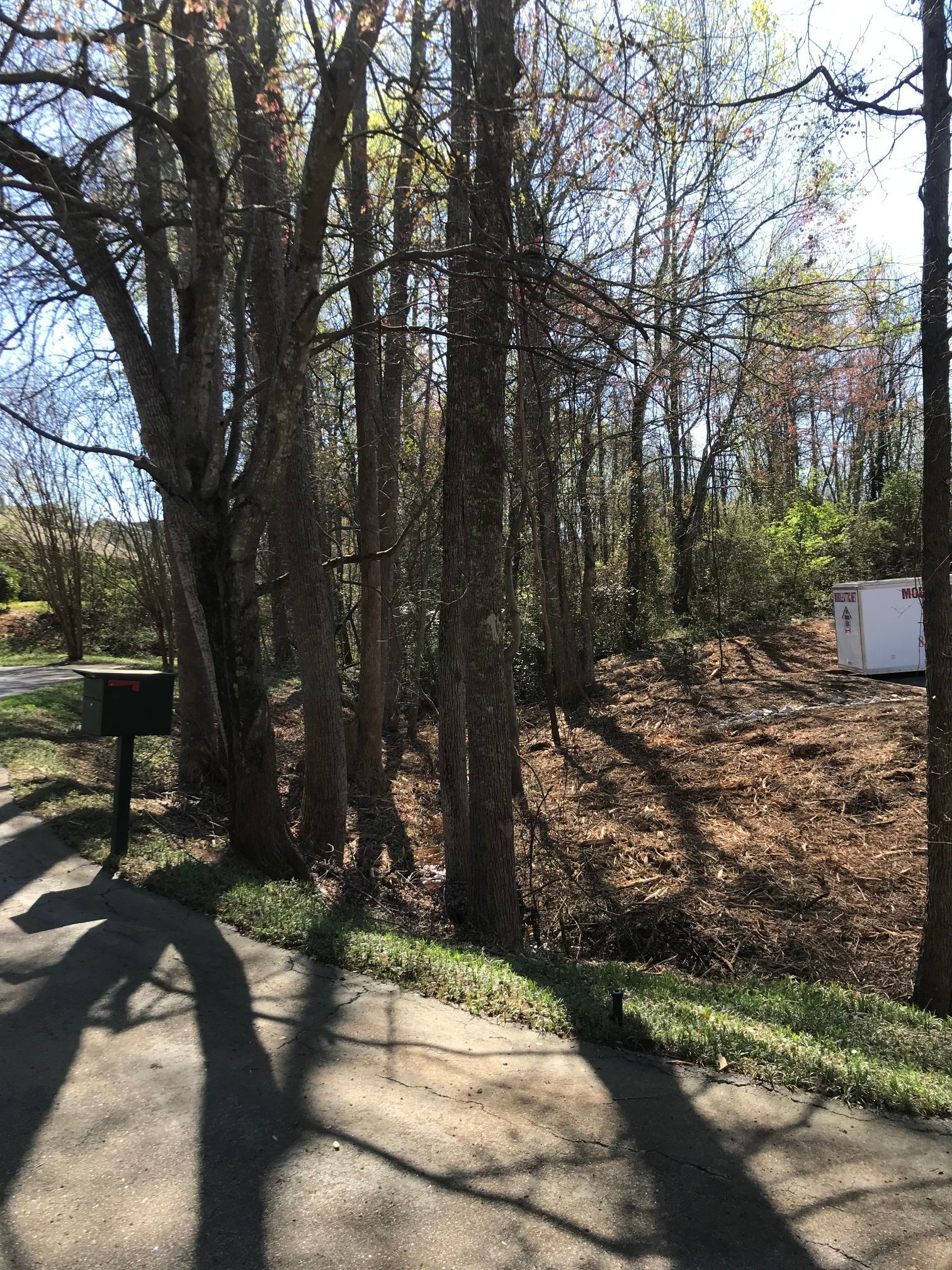 Trees casting shadows on a paved road, next to a mailbox and a small white building in a wooded area.