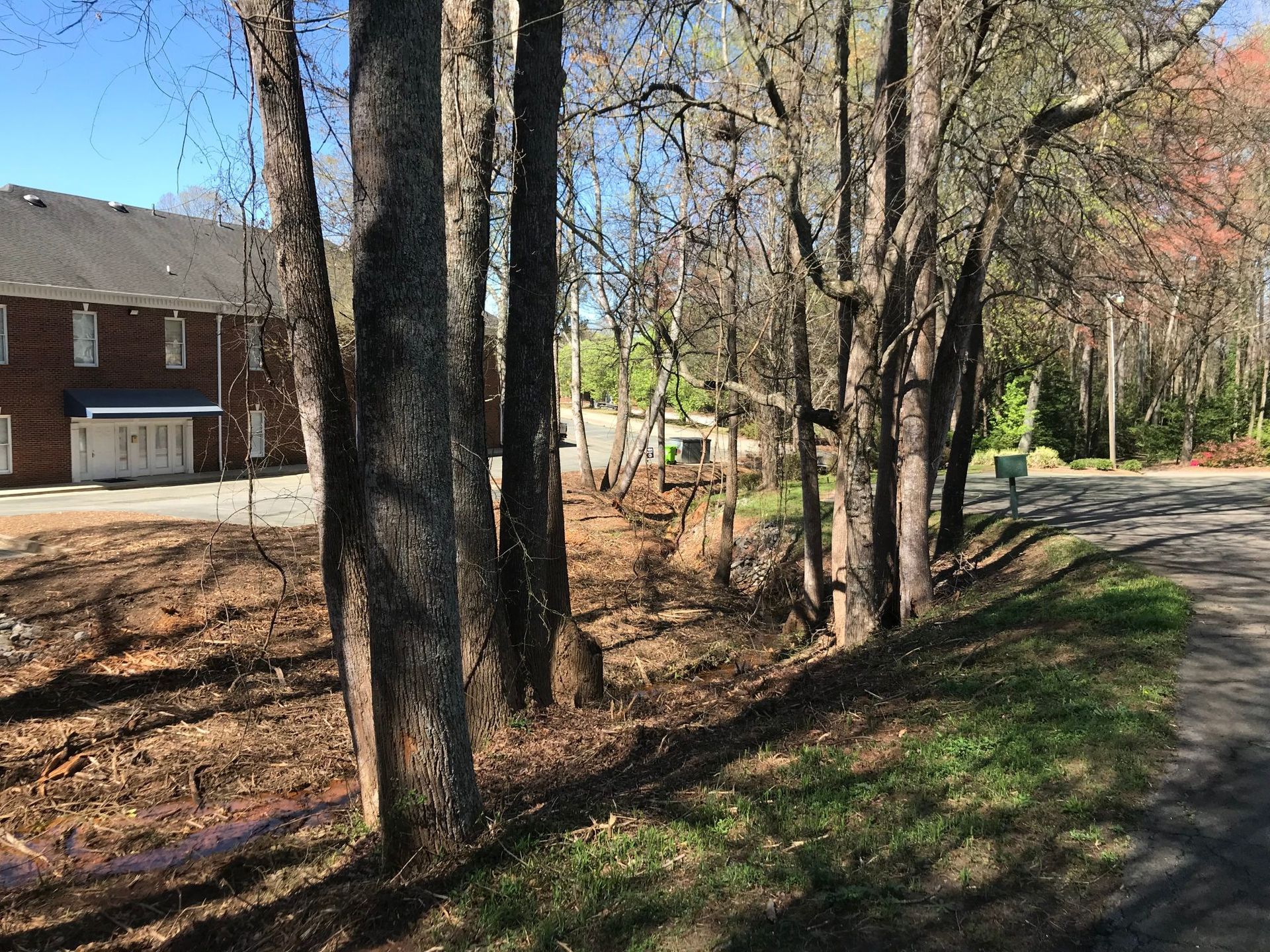 Trees line a road, with a building on the left. Browns and greens dominate the scene.