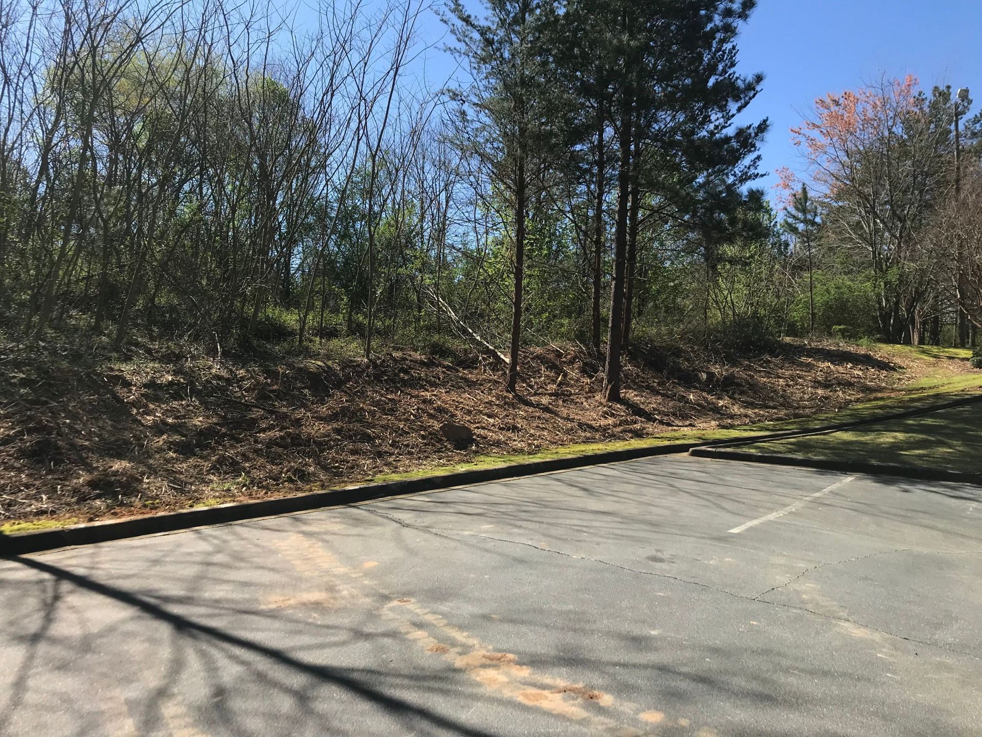 A parking lot with a grassy embankment and trees in the background under a blue sky.