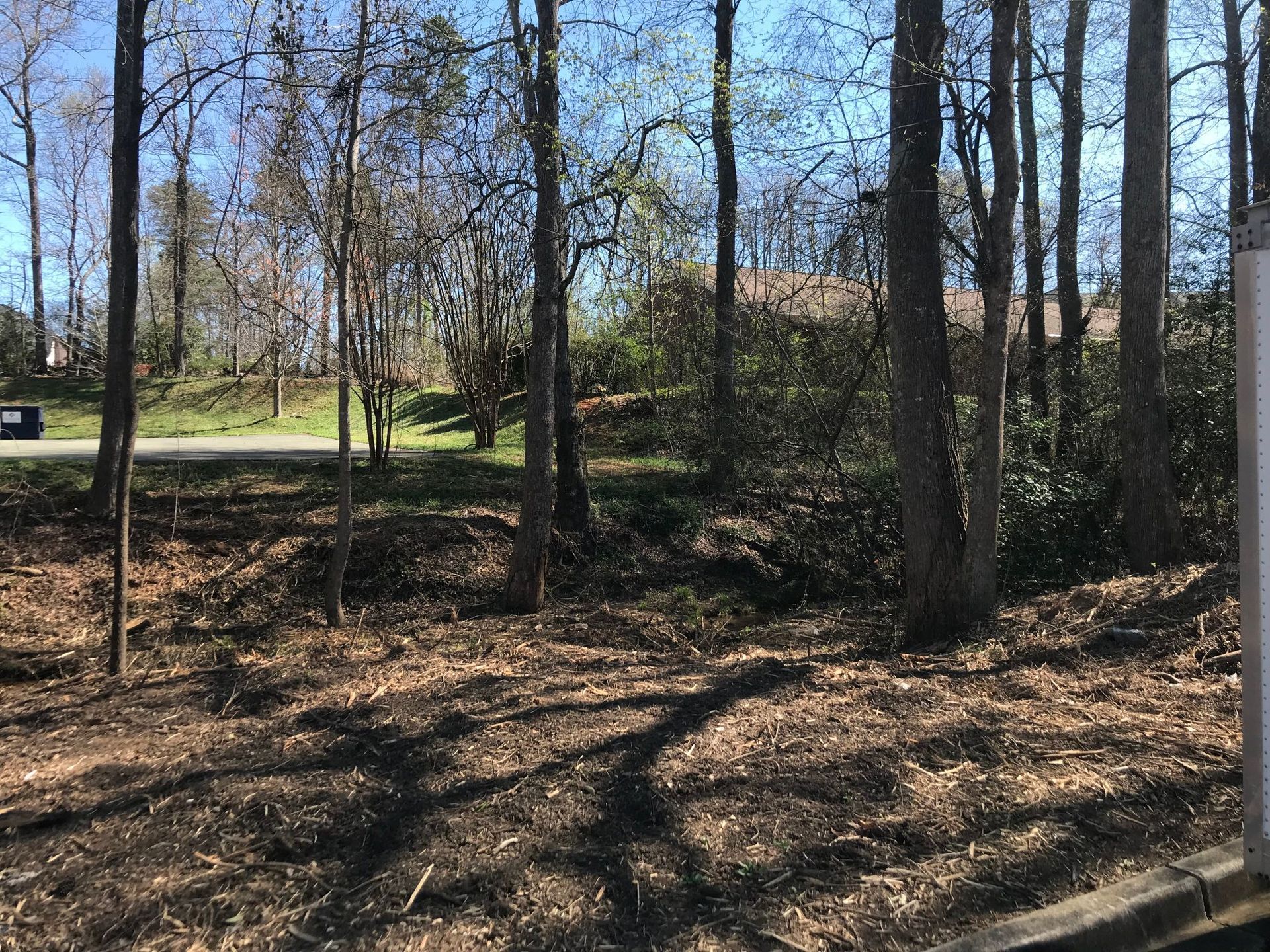 Trees line a road with a few cars; sunlight dappled ground in front.