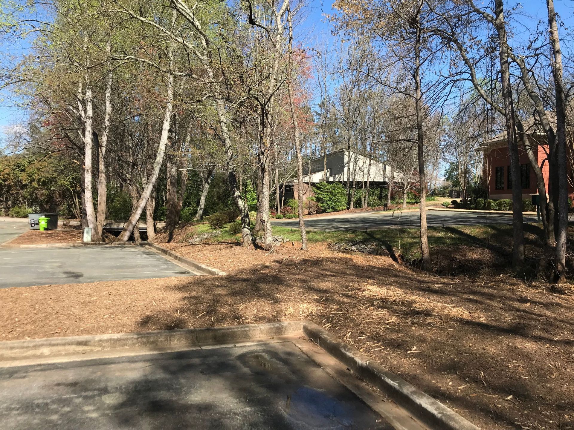 Trees surround a paved area with fallen leaves and a building in the background.