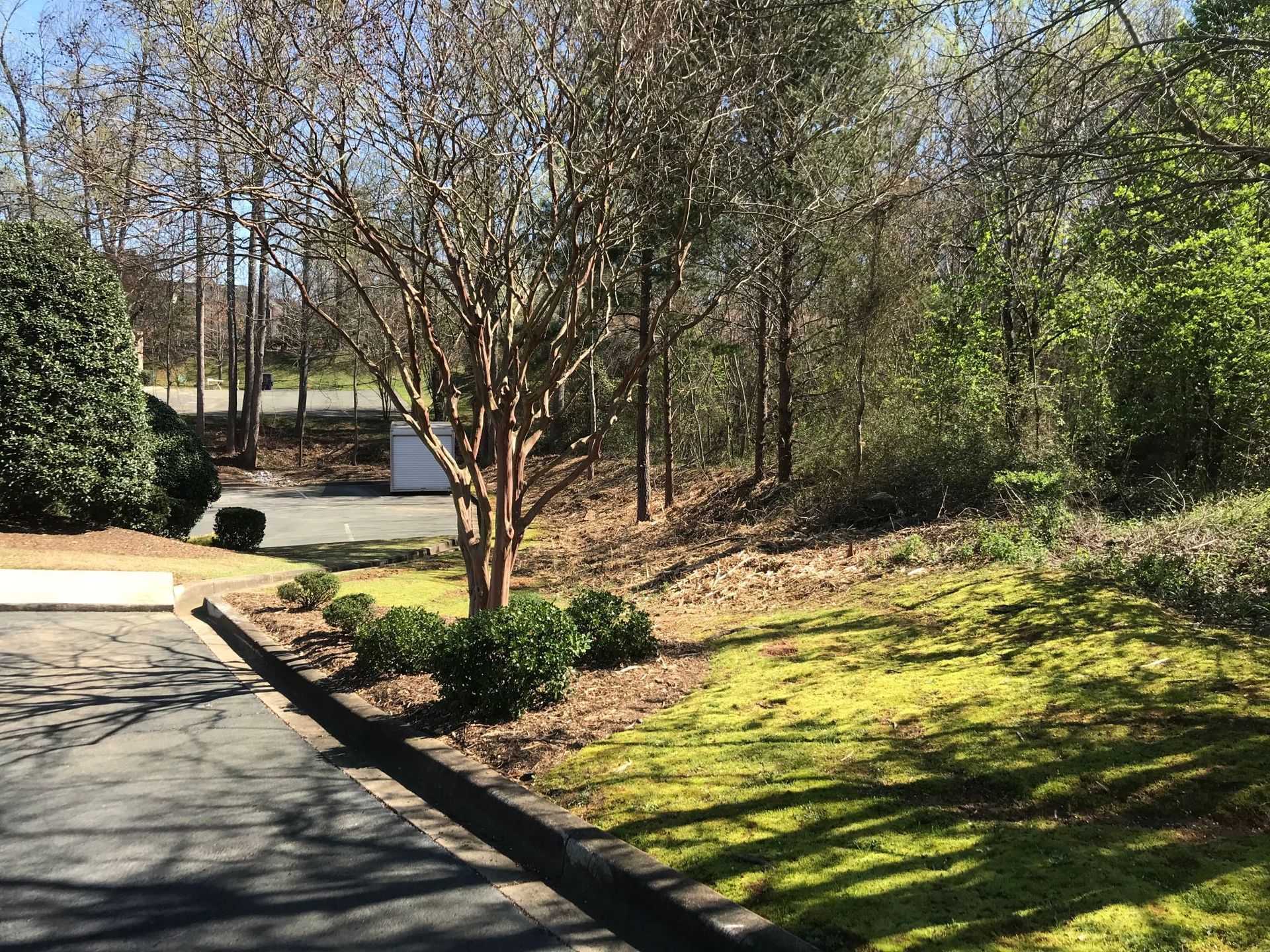 Trees and shrubs line a paved driveway and grassy yard. A mix of greenery and bare trees are in the background.