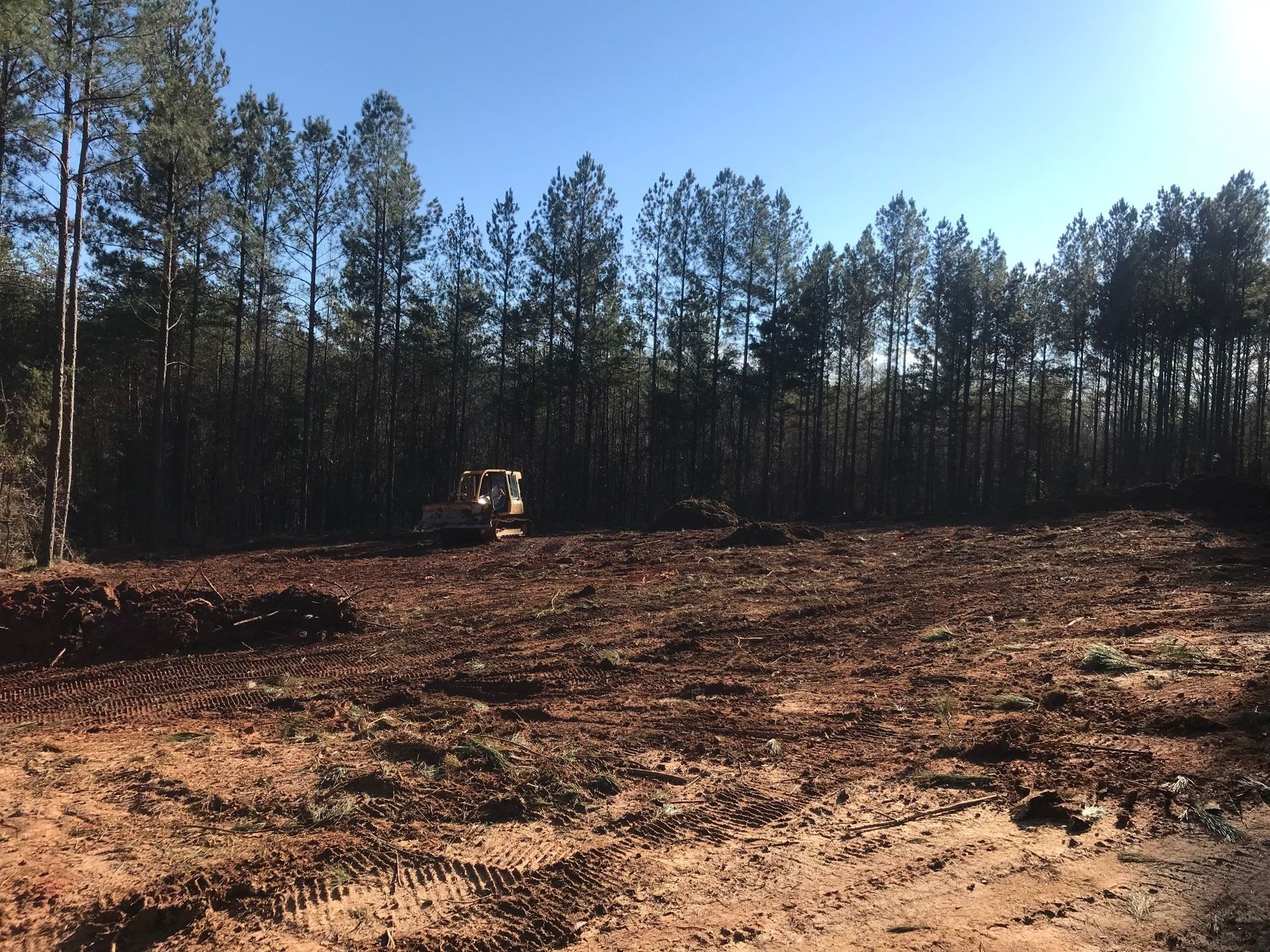 A bulldozer on cleared land, with a backdrop of a pine forest under a blue sky.