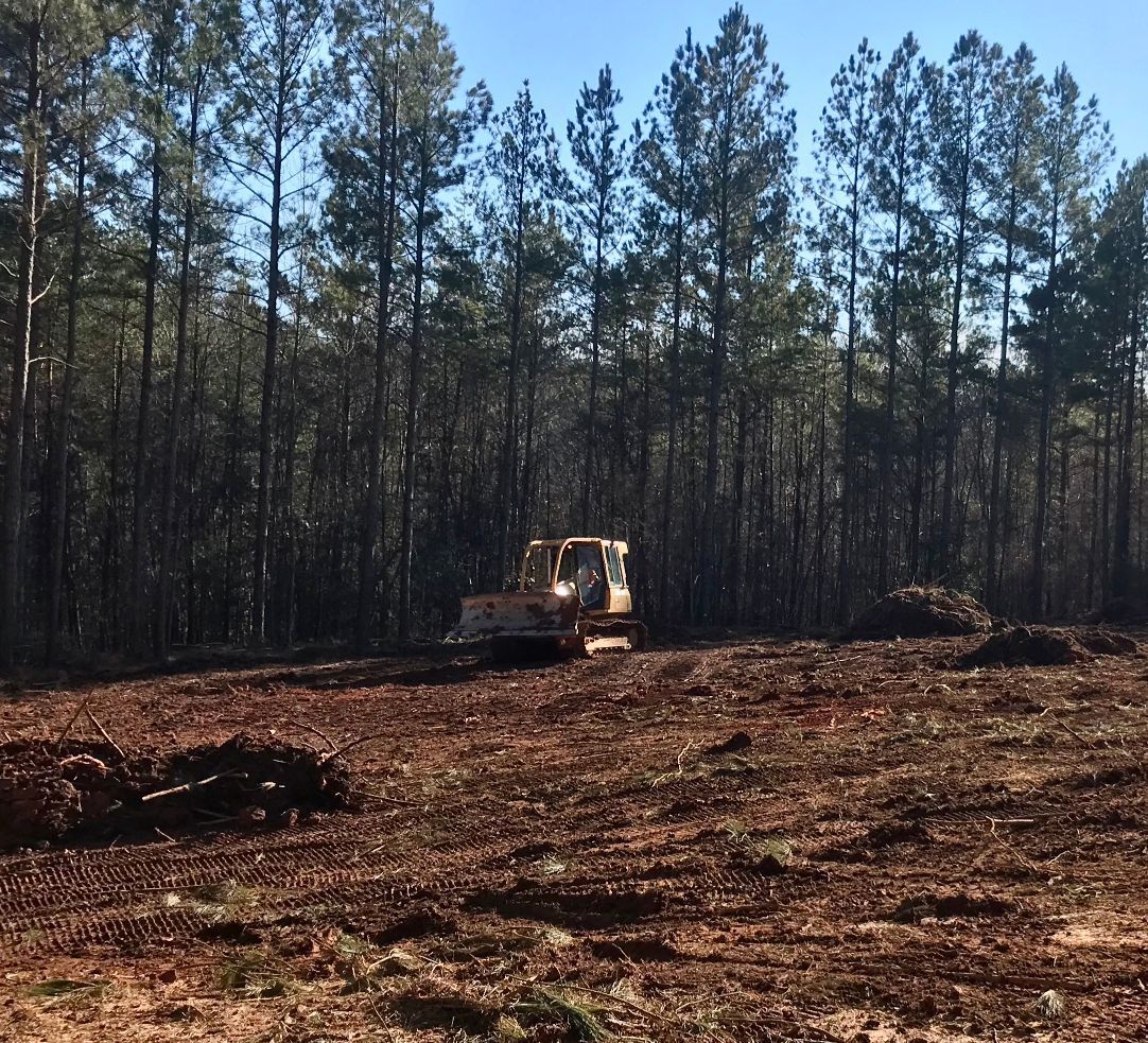 Bulldozer clearing land in front of a line of trees under a blue sky.