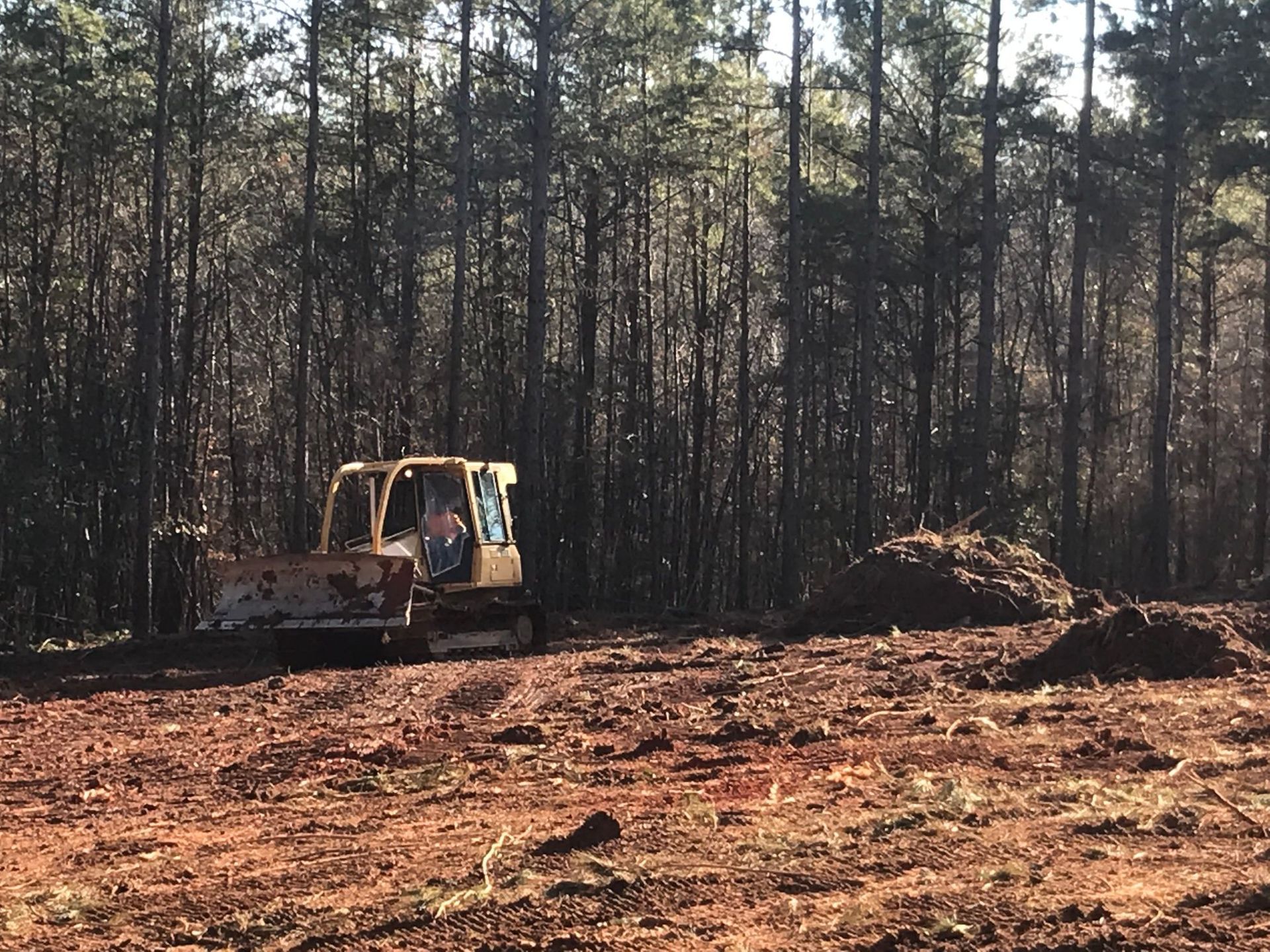 A bulldozer clearing land near a forest, piles of dirt nearby.