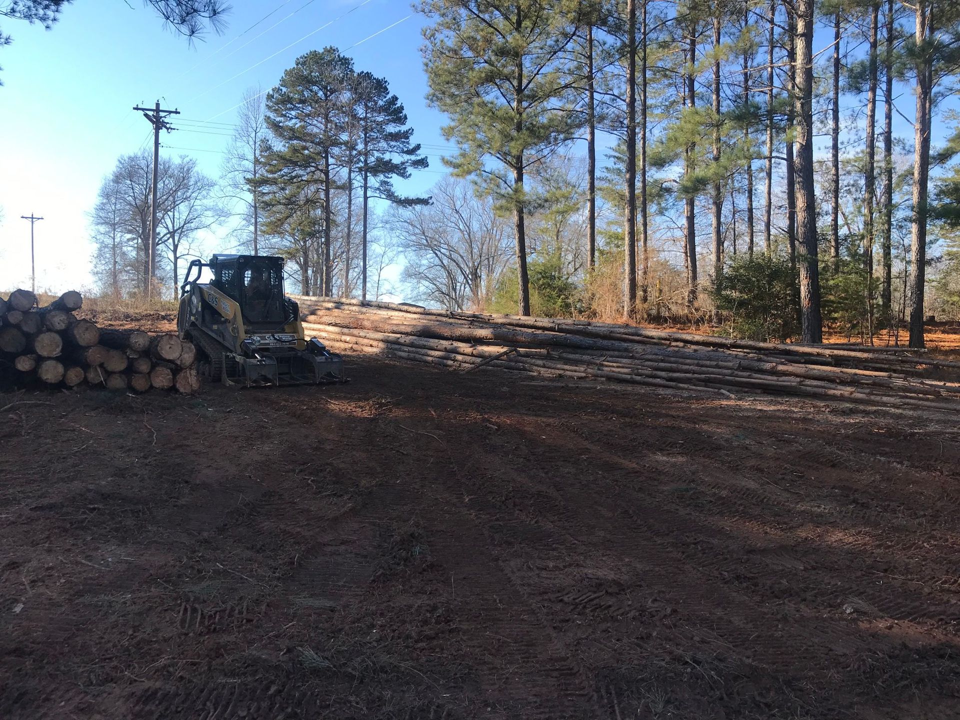 Skid steer loader moving logs in a wooded area with a pile of logs on the left.