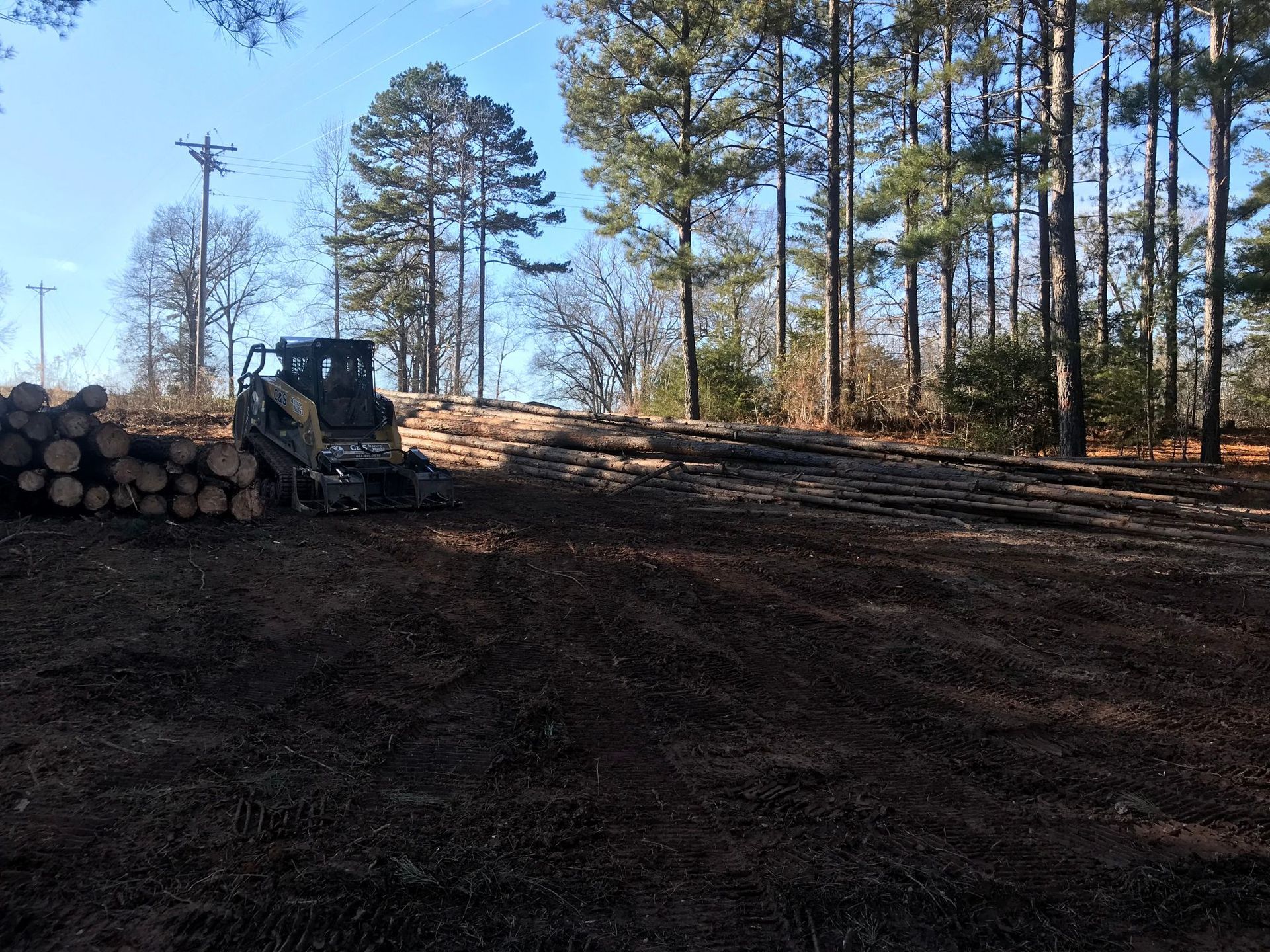 A skid steer loader on a cleared forest floor with logs and trees in the background.
