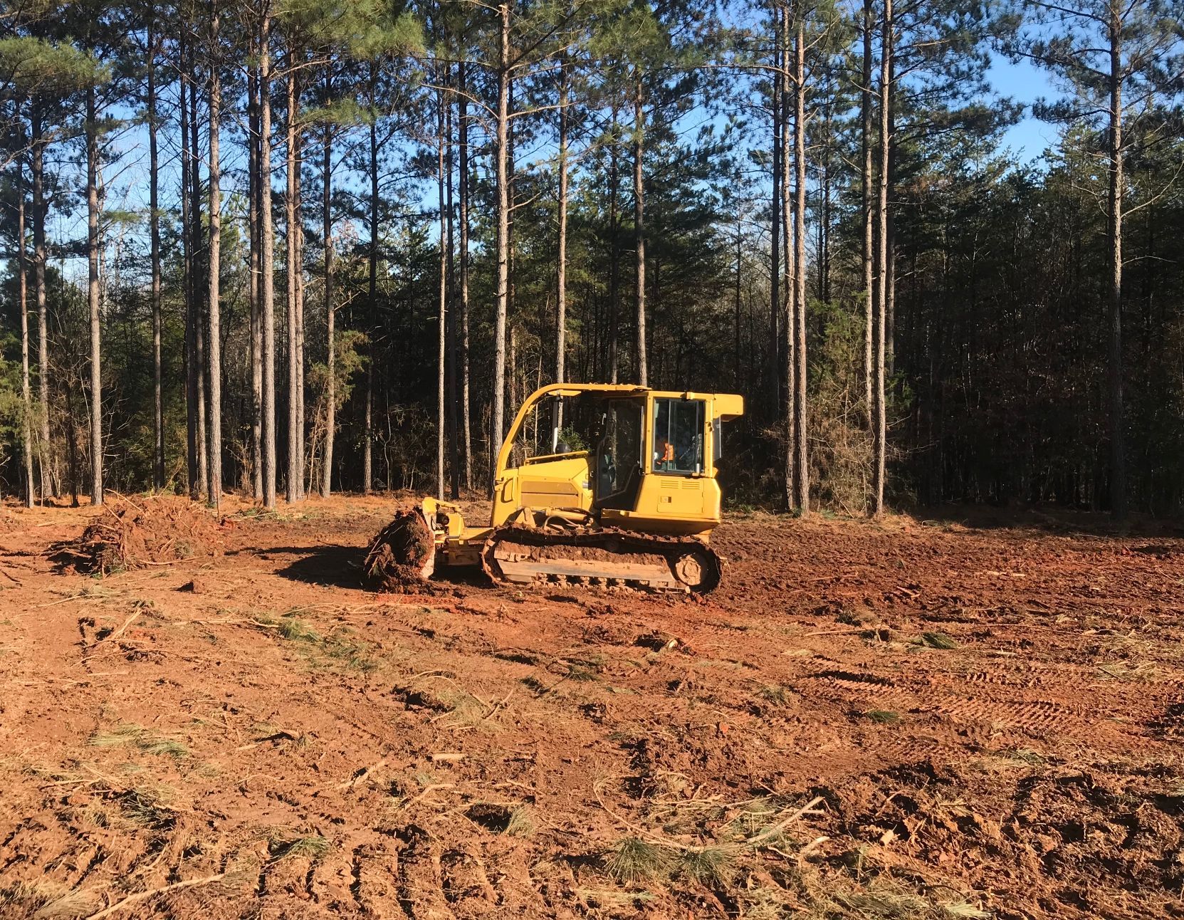 Yellow bulldozer clearing land in a forest, trees in background, dirt and soil visible.