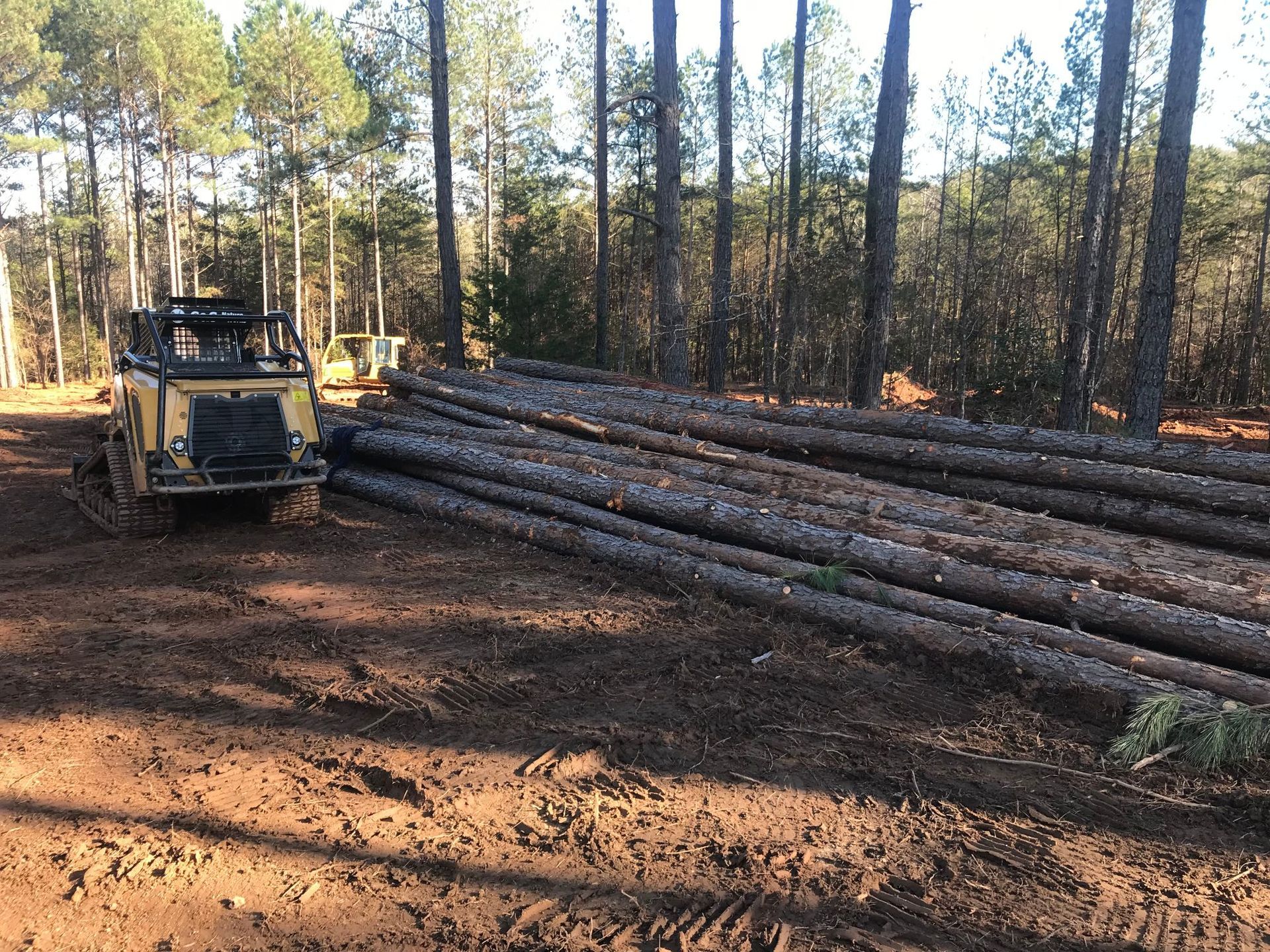 Yellow logging machine next to a pile of cut tree trunks in a forest clearing.